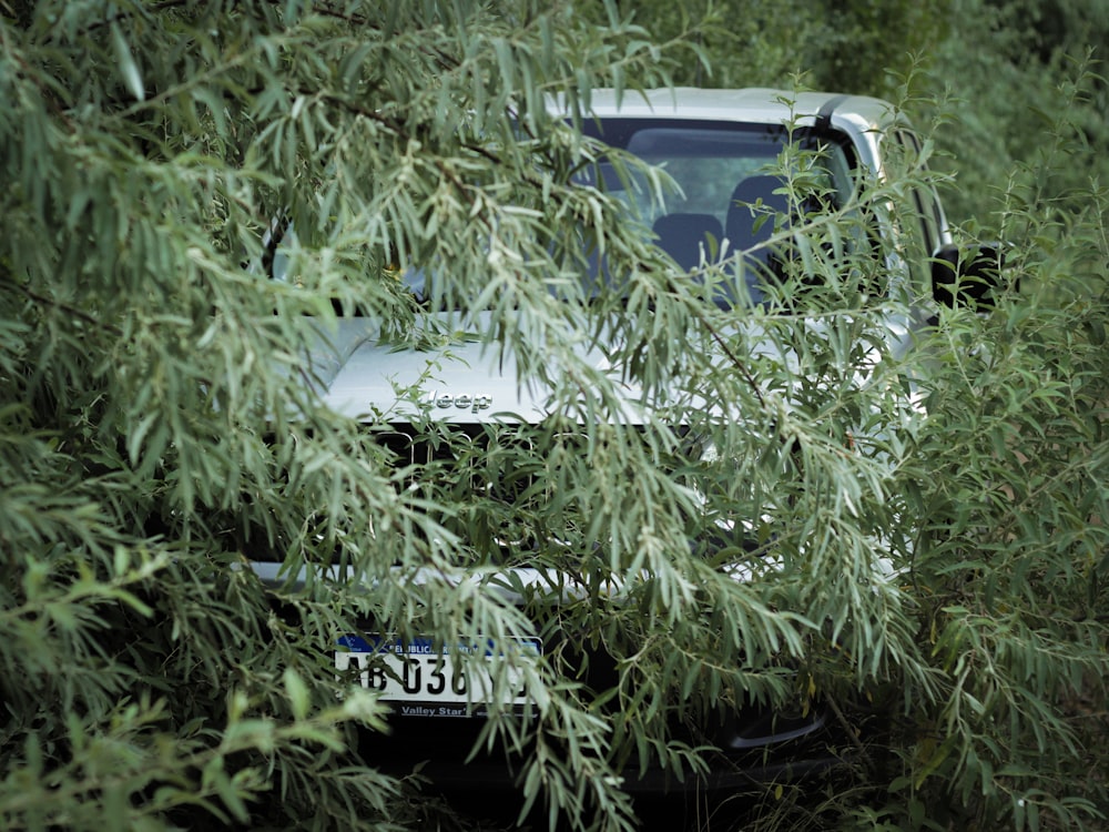 green and white jeep wrangler