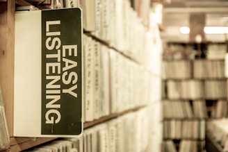 A collection of stacked vinyl records or library shelves with a prominent sign labeled 'Easy Listening'. The scene gives a sense of organization and thoroughness in a dimly lit environment.