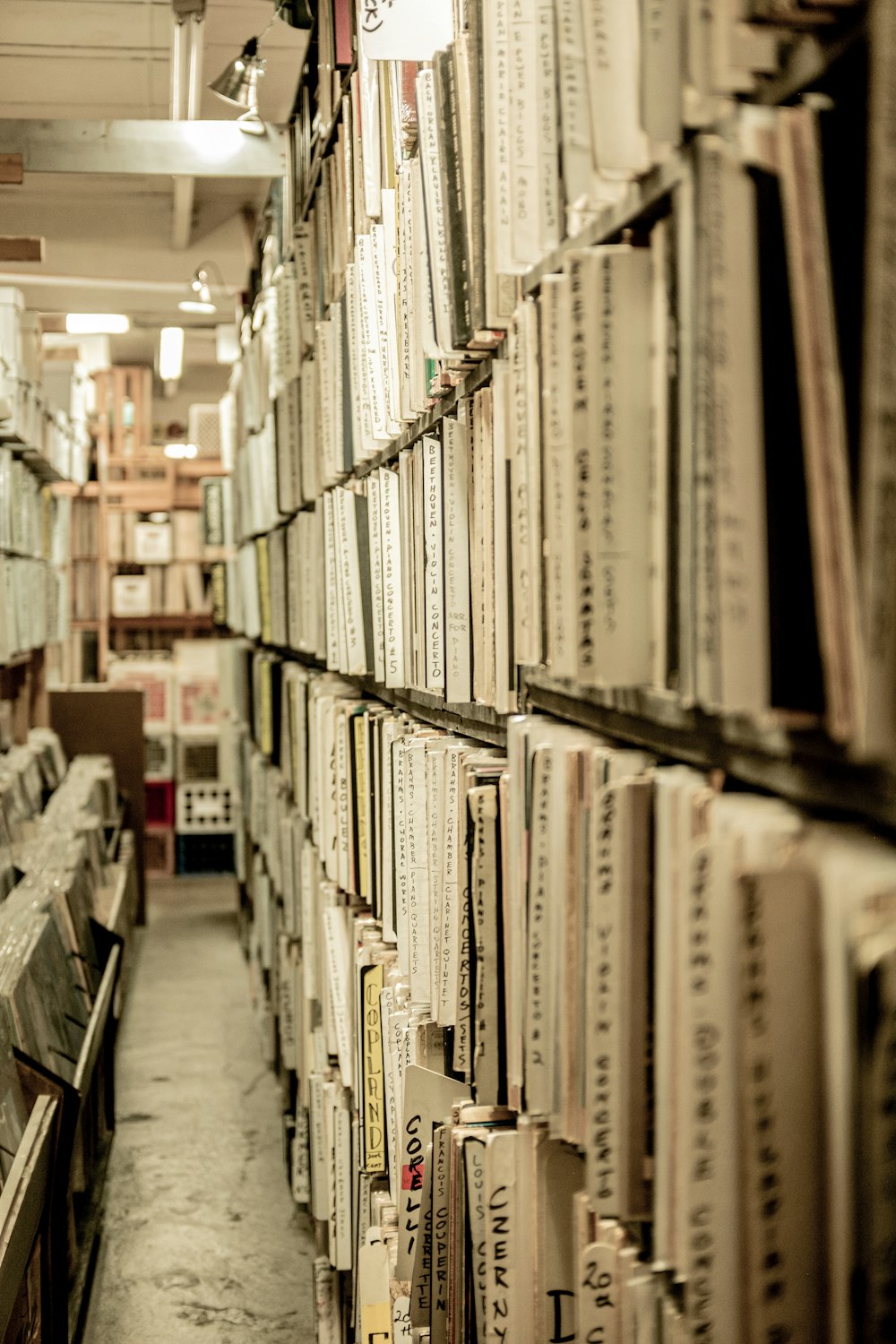 white and black labeled books on shelf