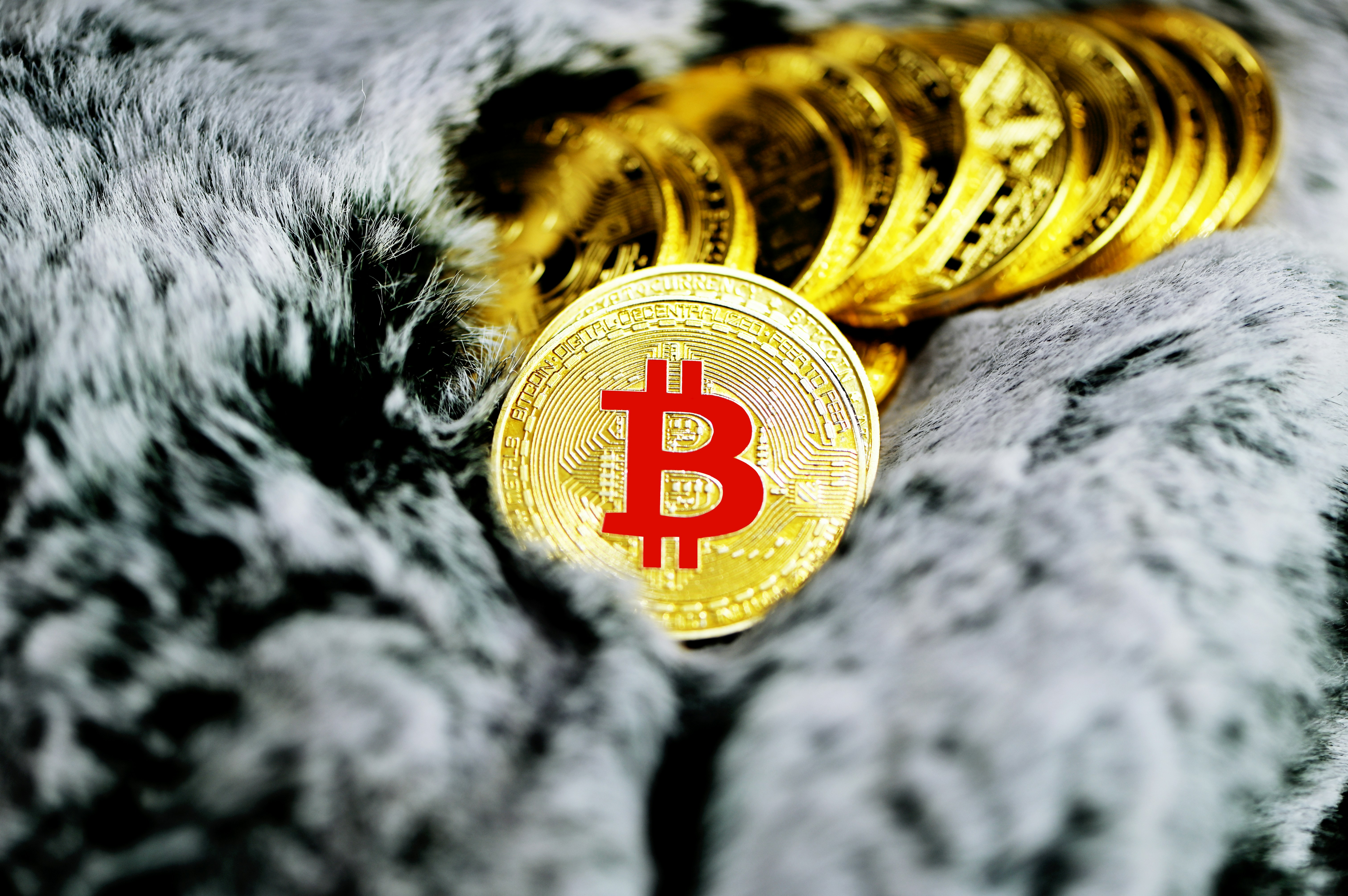 A pile of Bitcoin lays neatly on a fur surface.