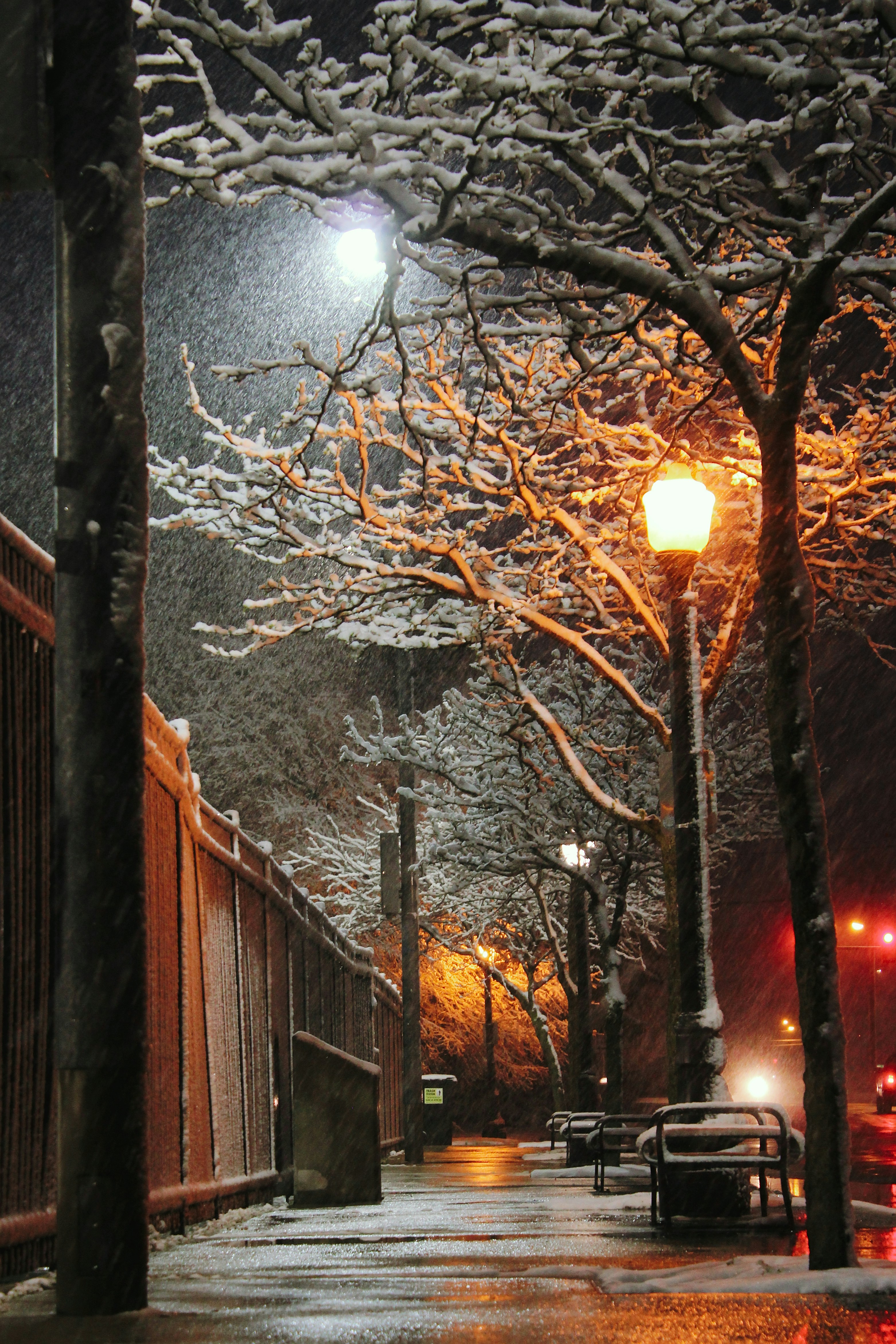 Photo by mrgreatheart