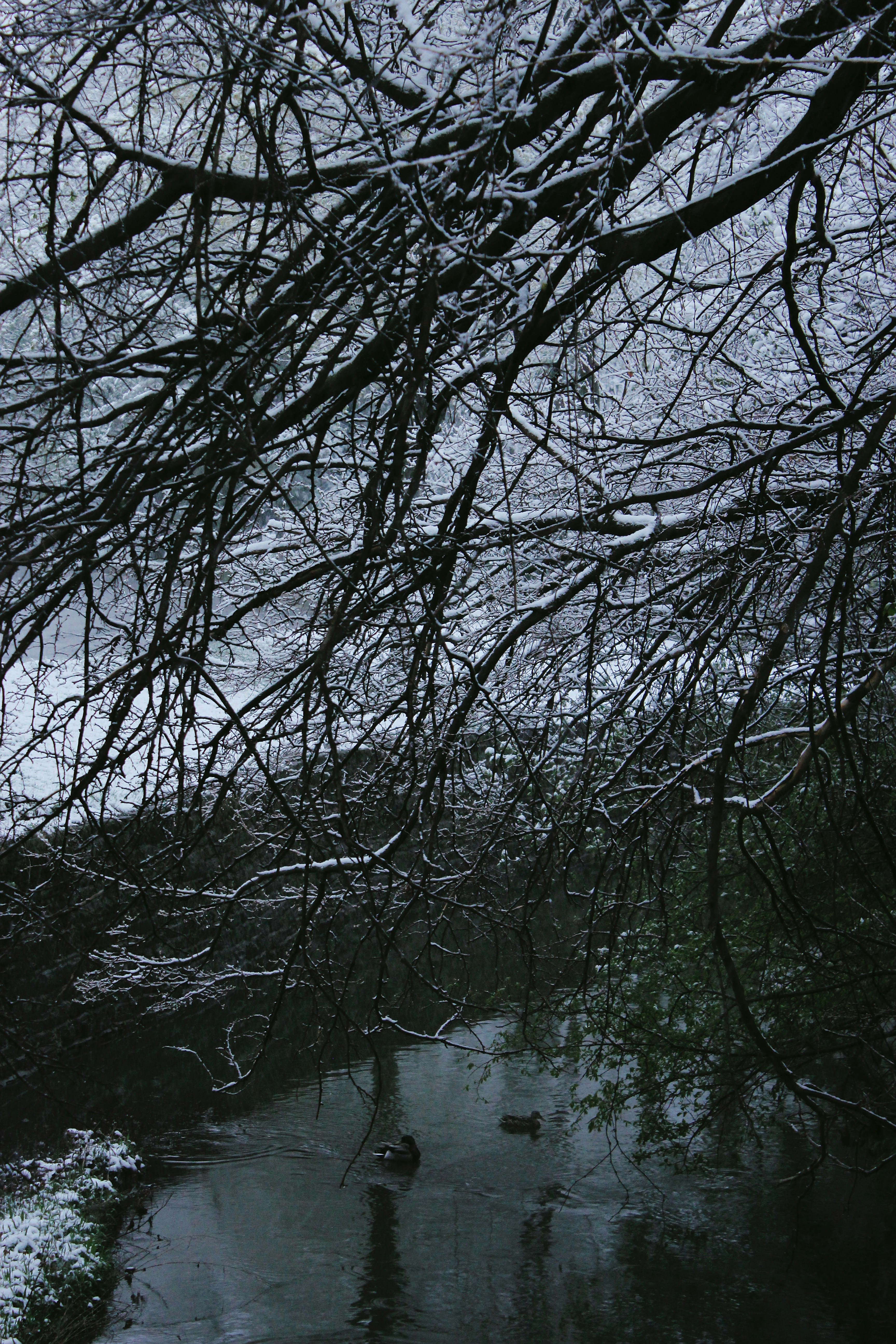 Photo by mrgreatheart