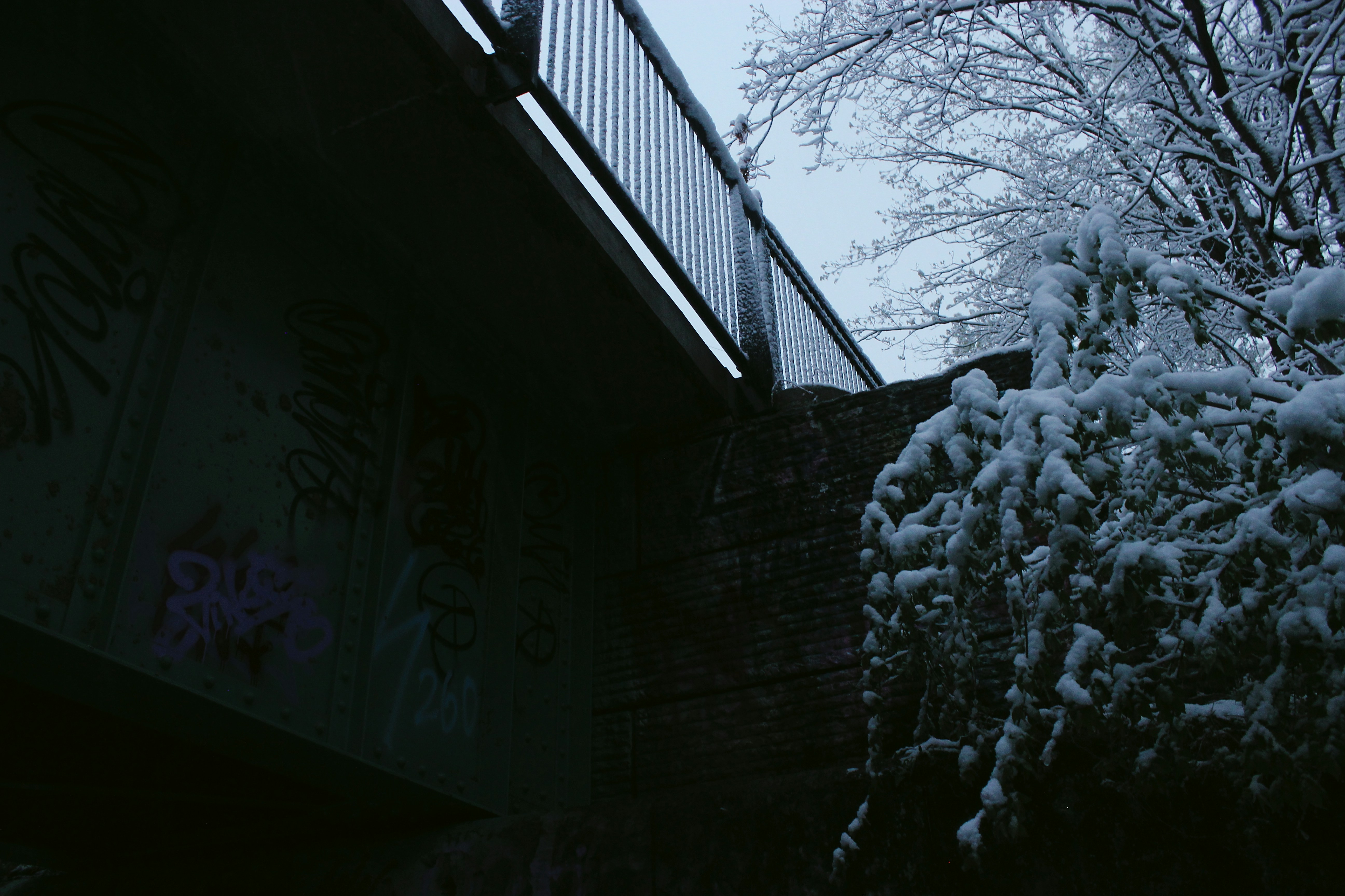 Photo by mrgreatheart