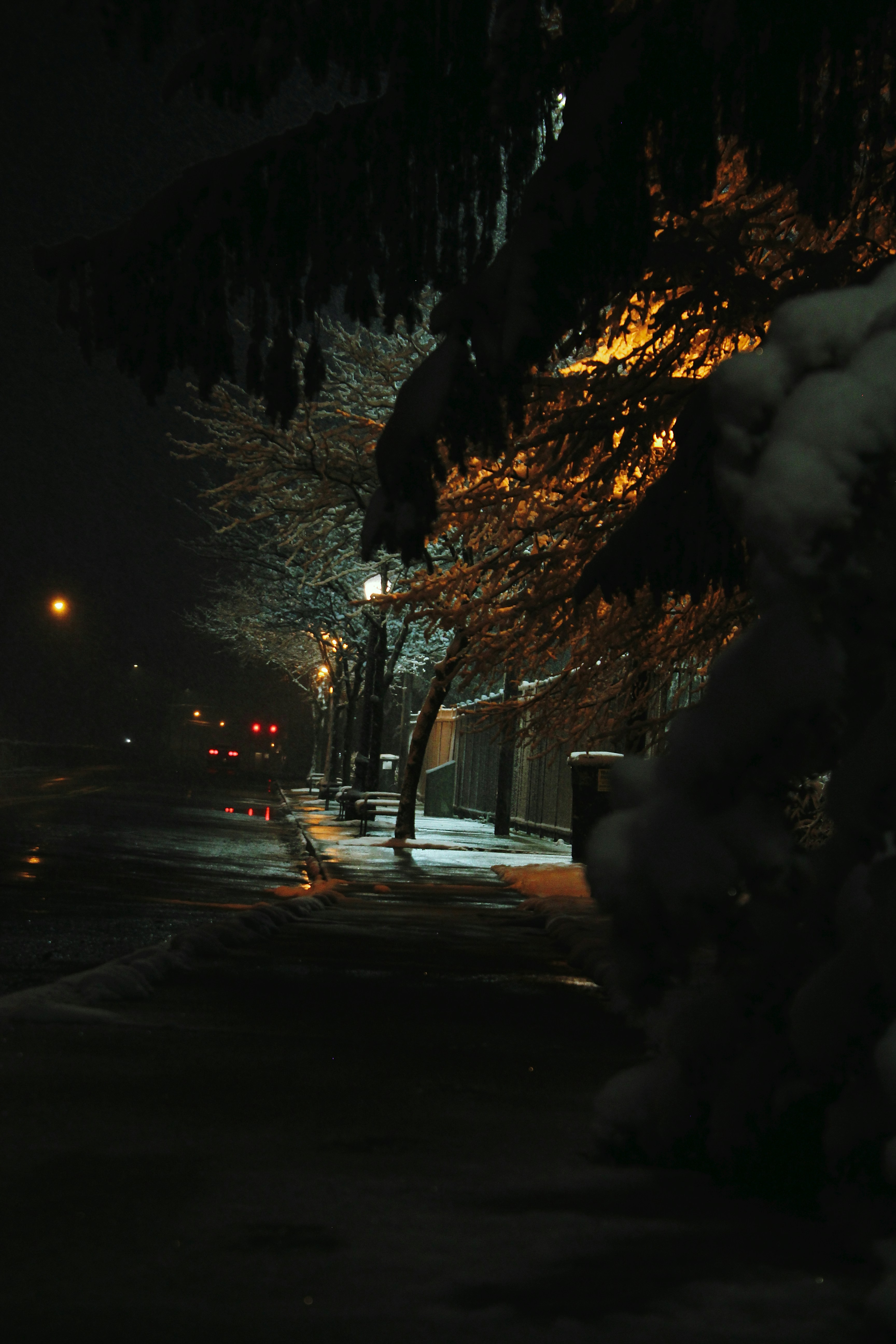 Photo by mrgreatheart