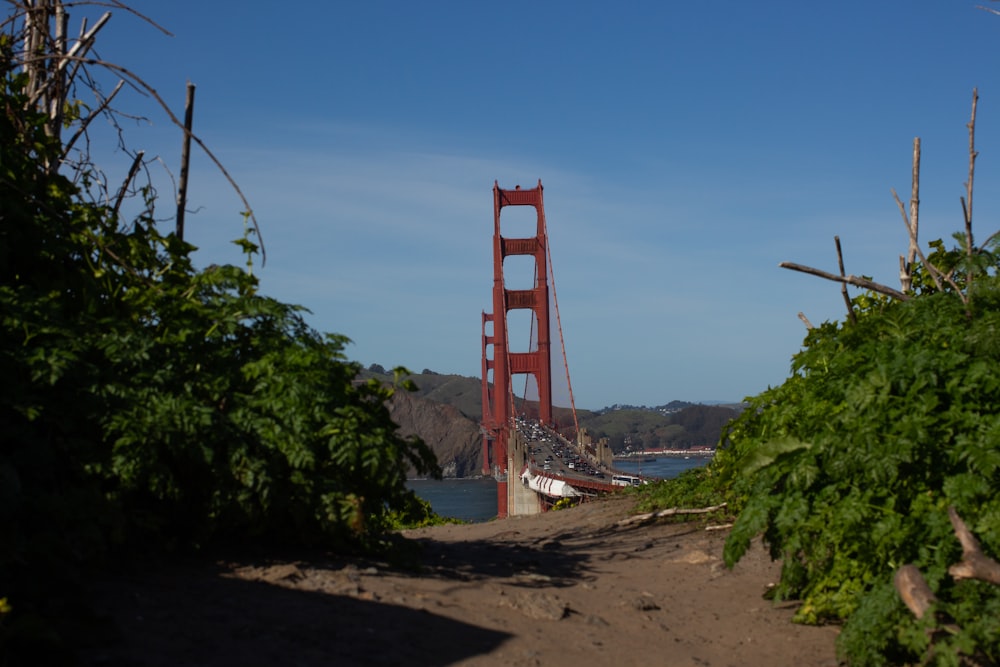 golden gate bridge san francisco california