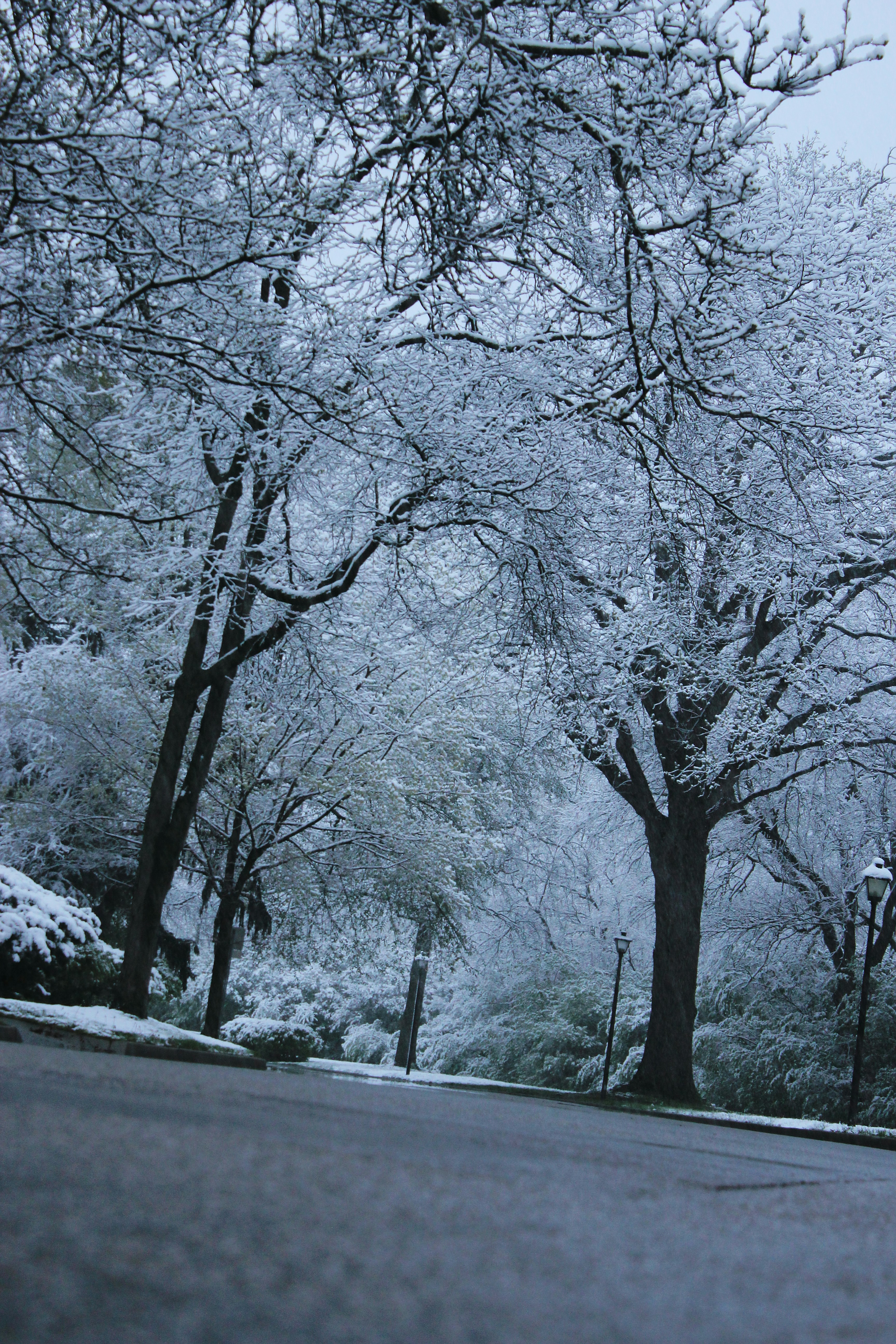 Photo by mrgreatheart