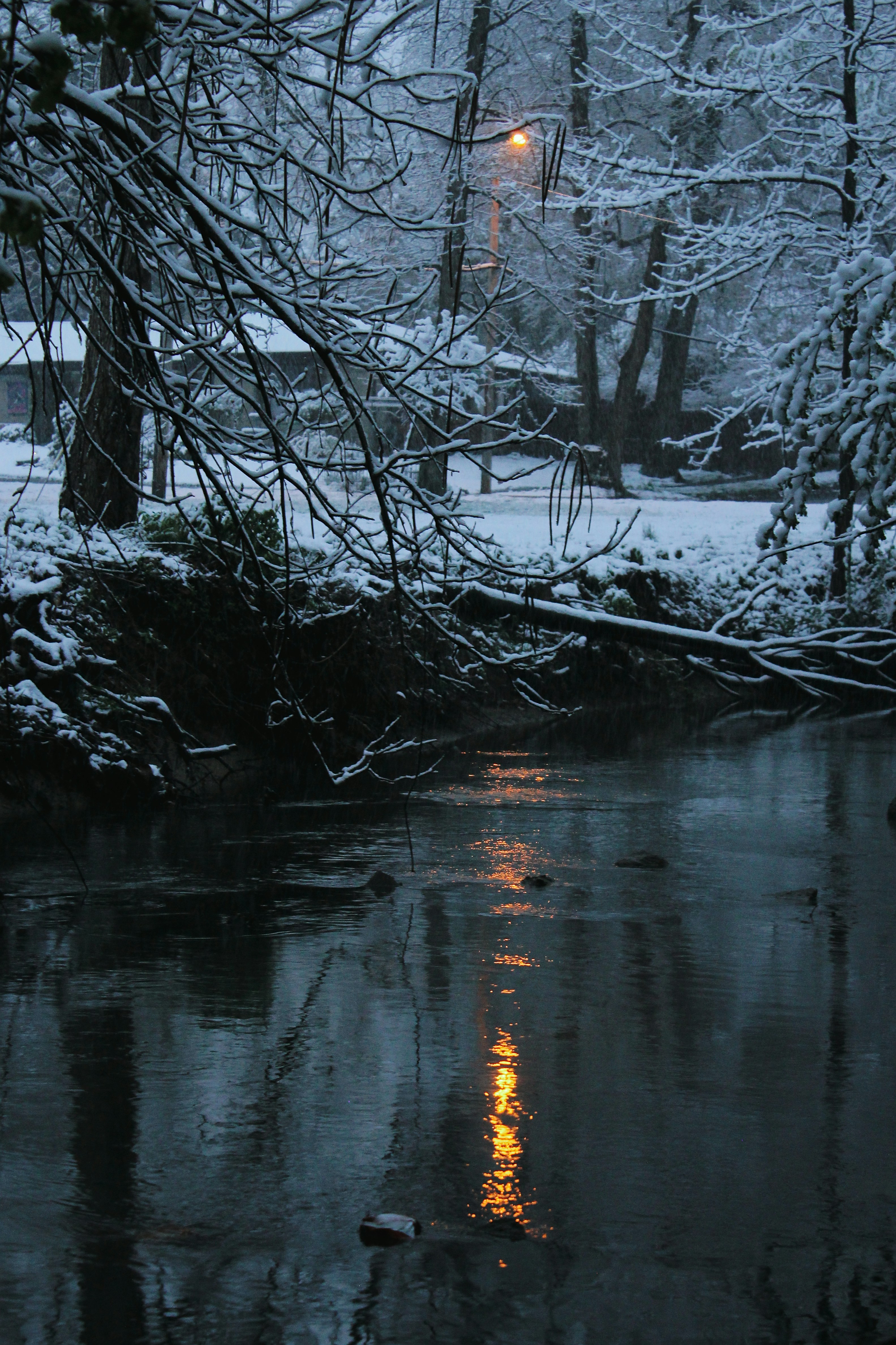 Photo by mrgreatheart