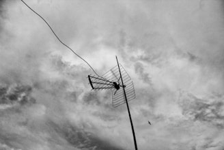 An outdoor television antenna is prominently displayed against a cloudy sky, with a wire extending from it. A small bird is visible flying near the horizon.