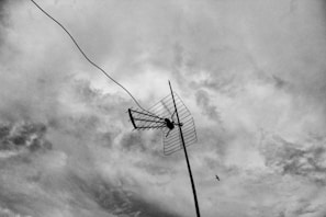 An outdoor television antenna is prominently displayed against a cloudy sky, with a wire extending from it. A small bird is visible flying near the horizon.
