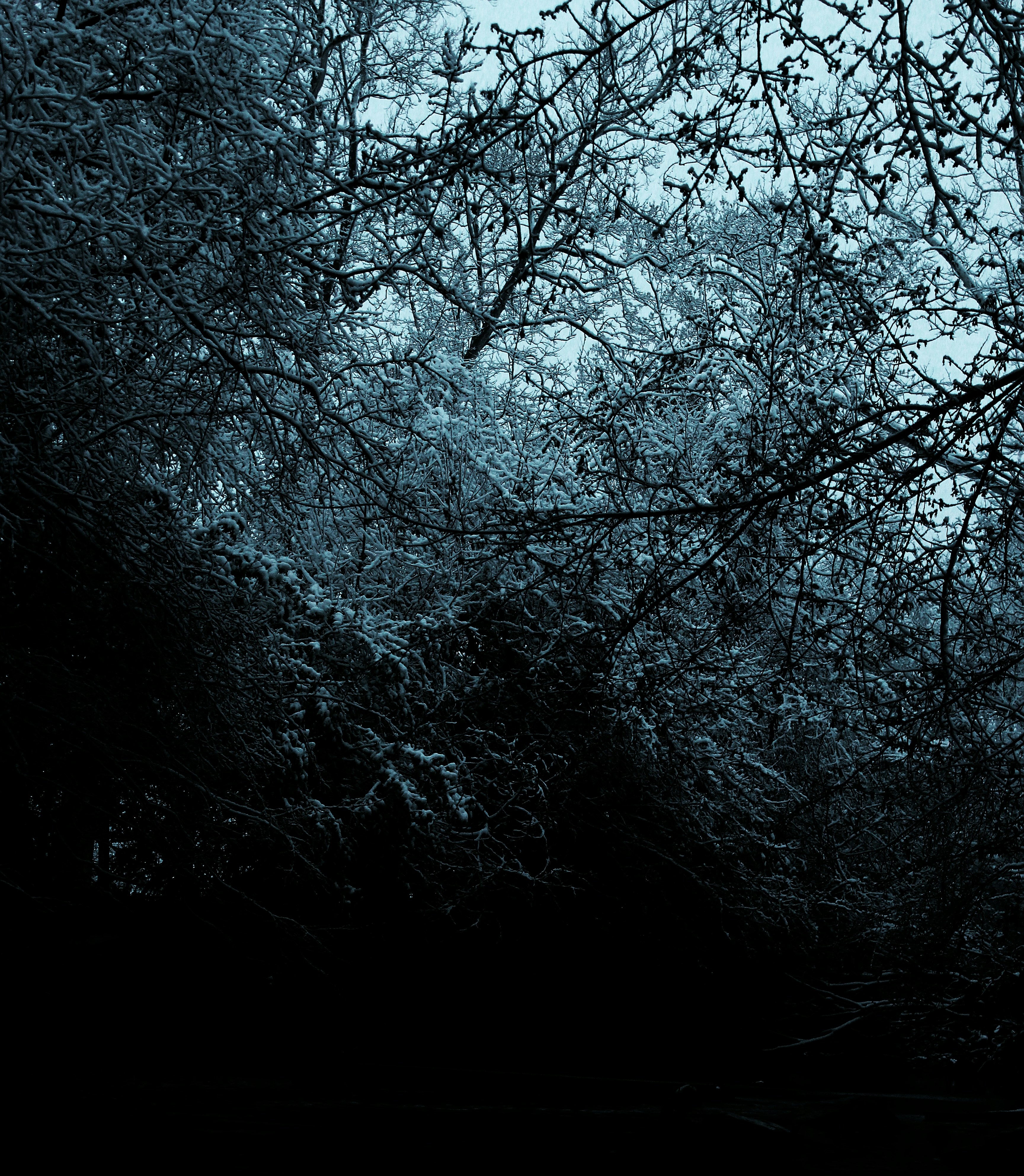 Photo by mrgreatheart