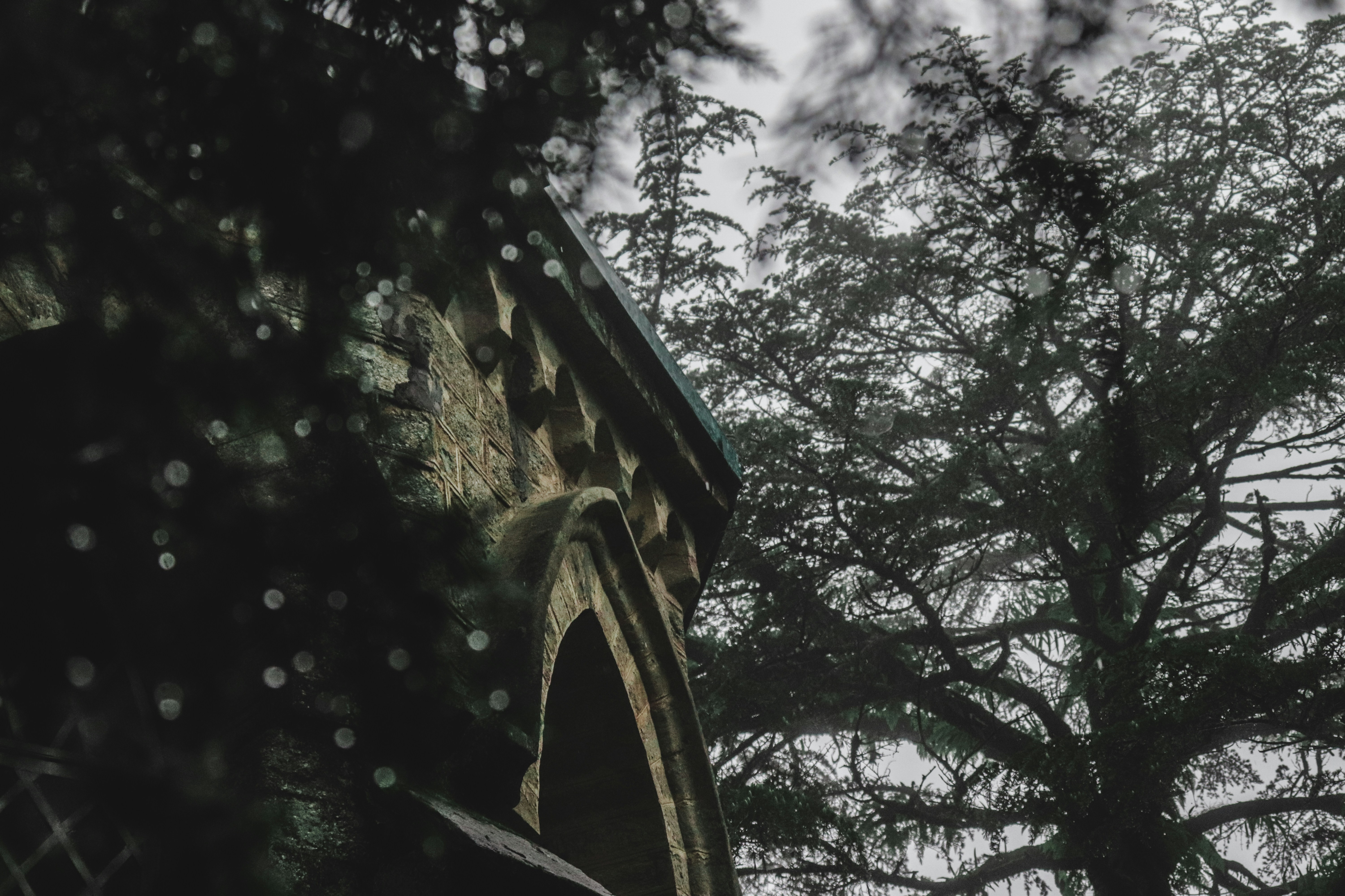 Photo by deepakrautela