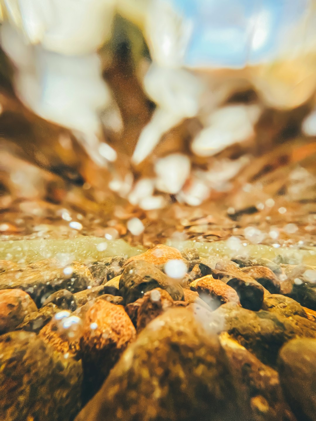 brown and white stones in water