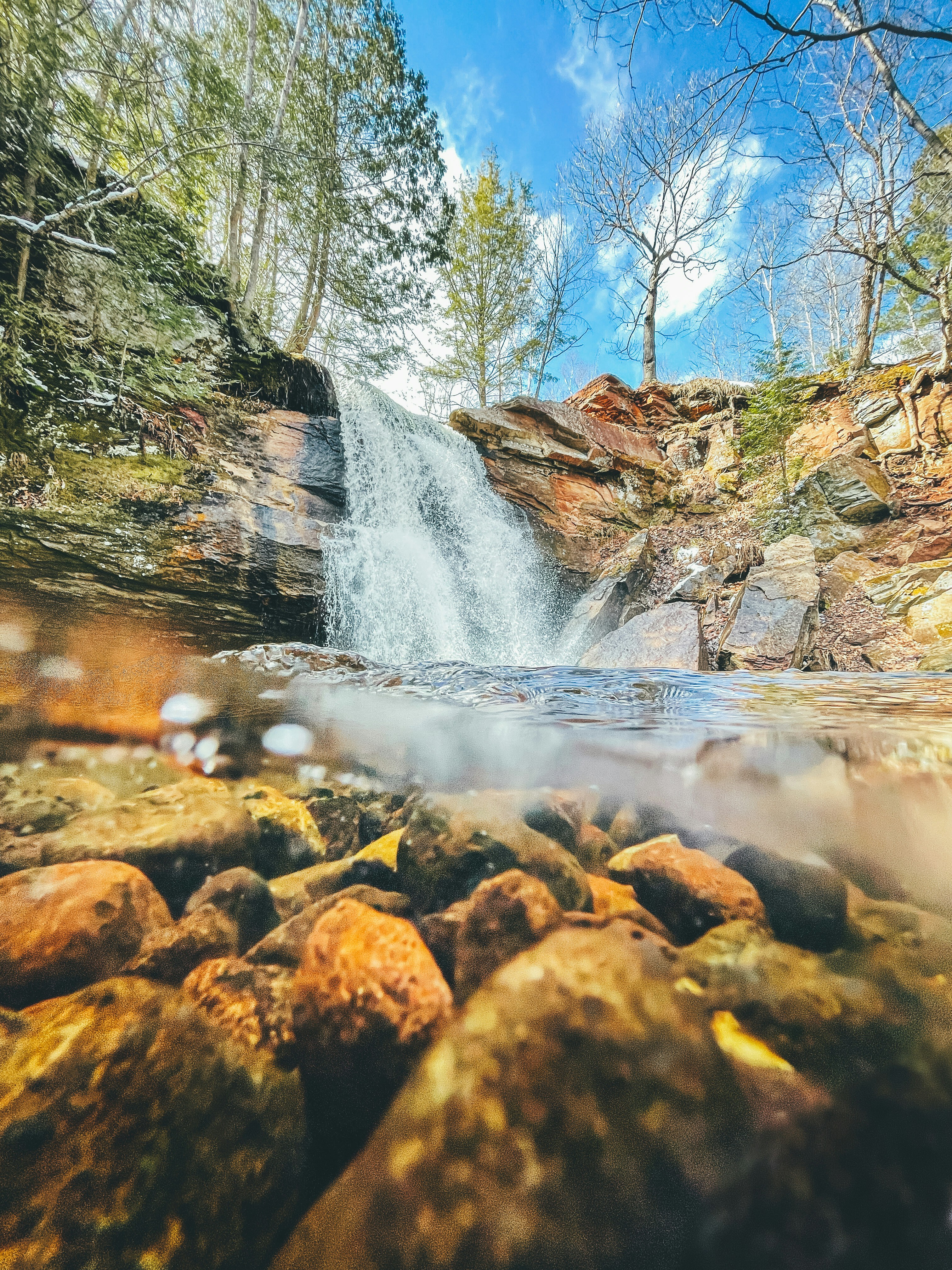 Belleza Herbal: Piel y Pelo