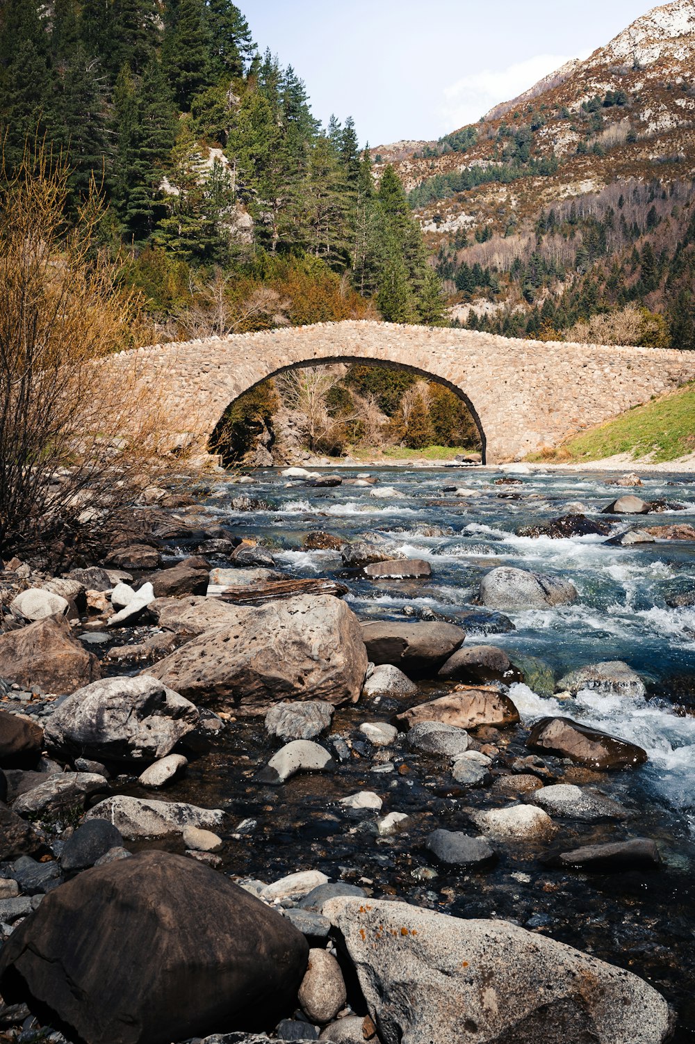 brown rocks on river during daytime