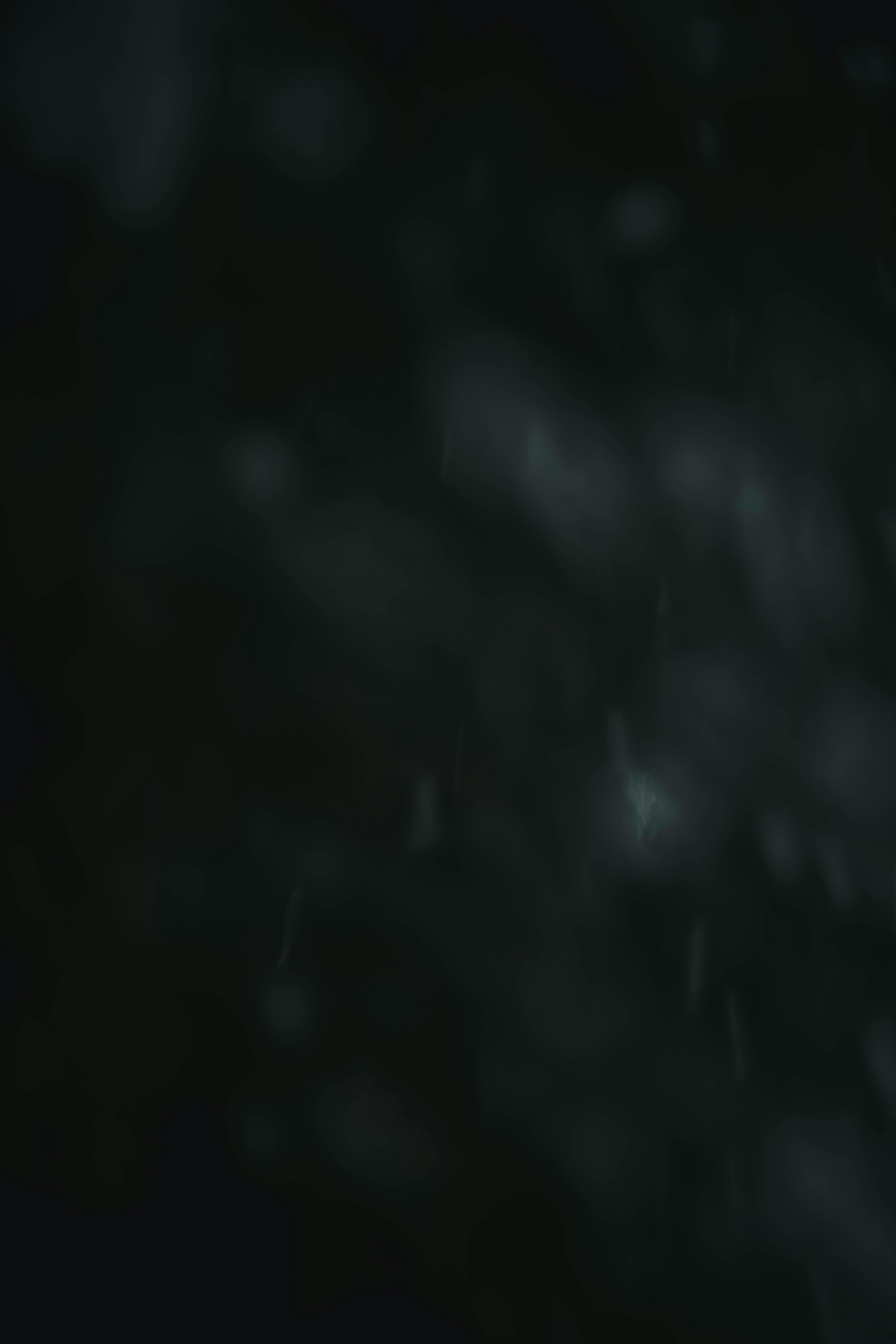 black and white abstract painting