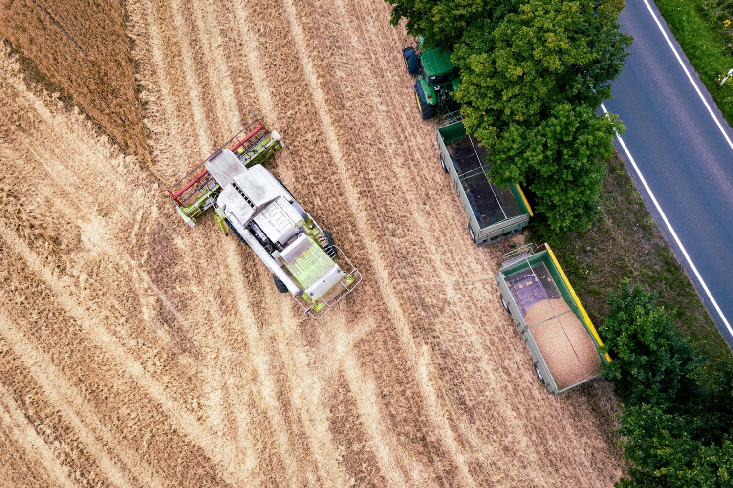 Tailored Product Recommendations