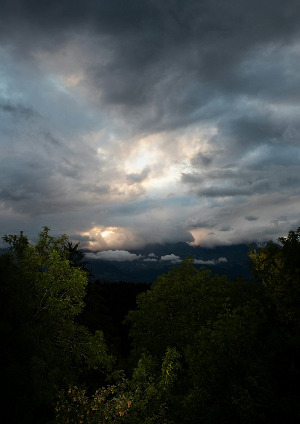 árboles verdes bajo nubes blancas durante el día