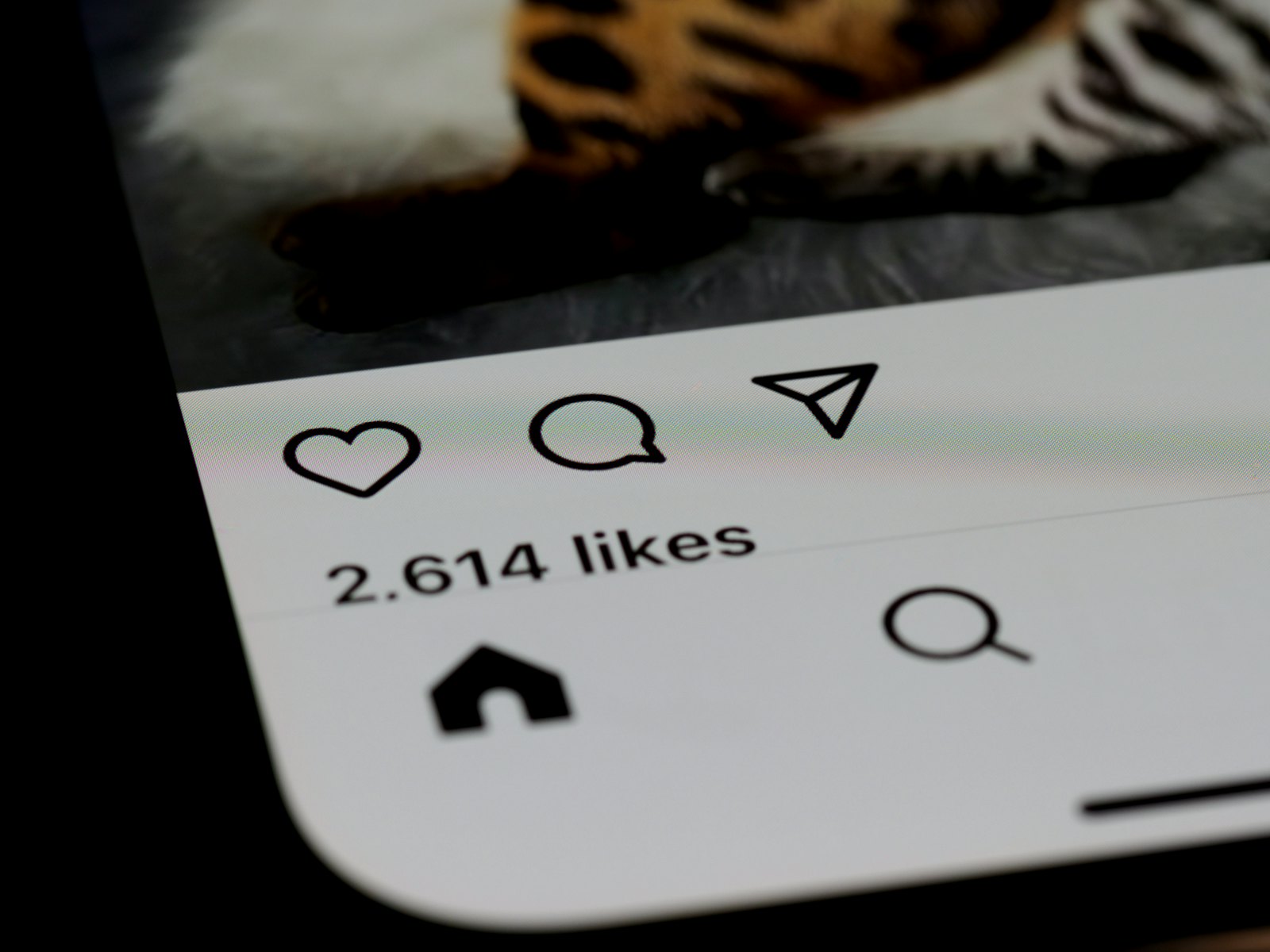 Buy Instagram Likes Vs Organic Growth: What Actually Works In 2026