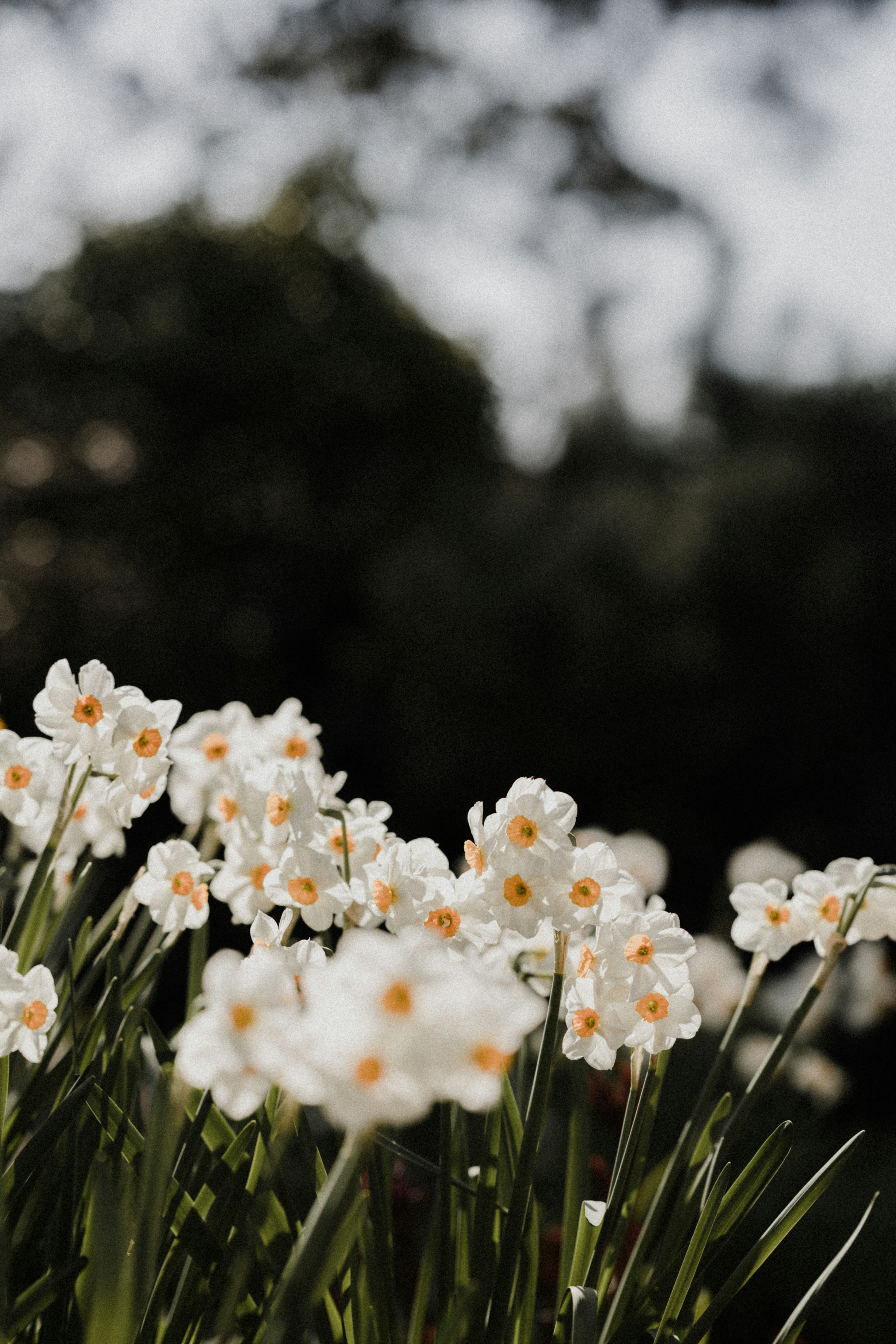 Photo by anniespratt