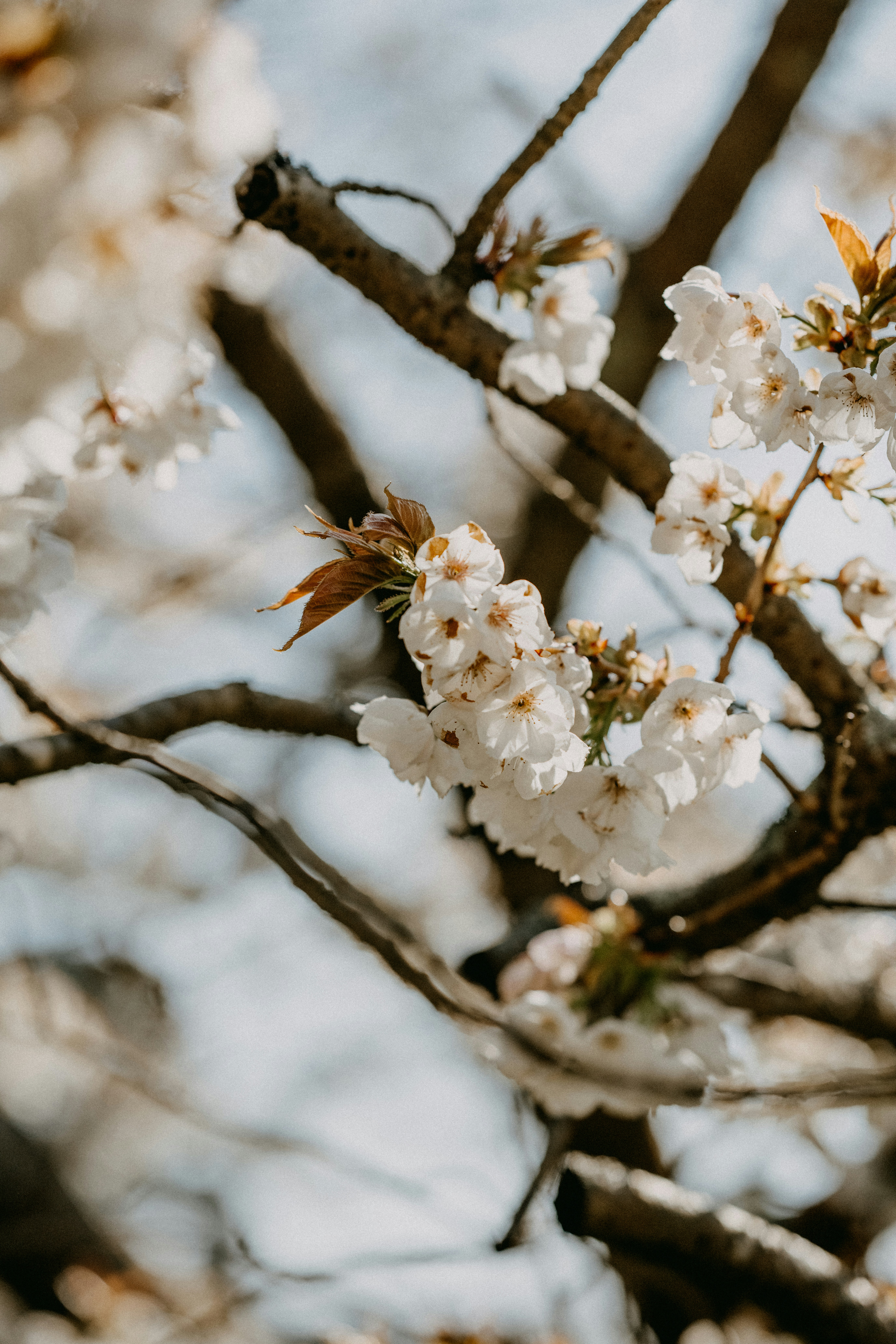 Photo by anniespratt