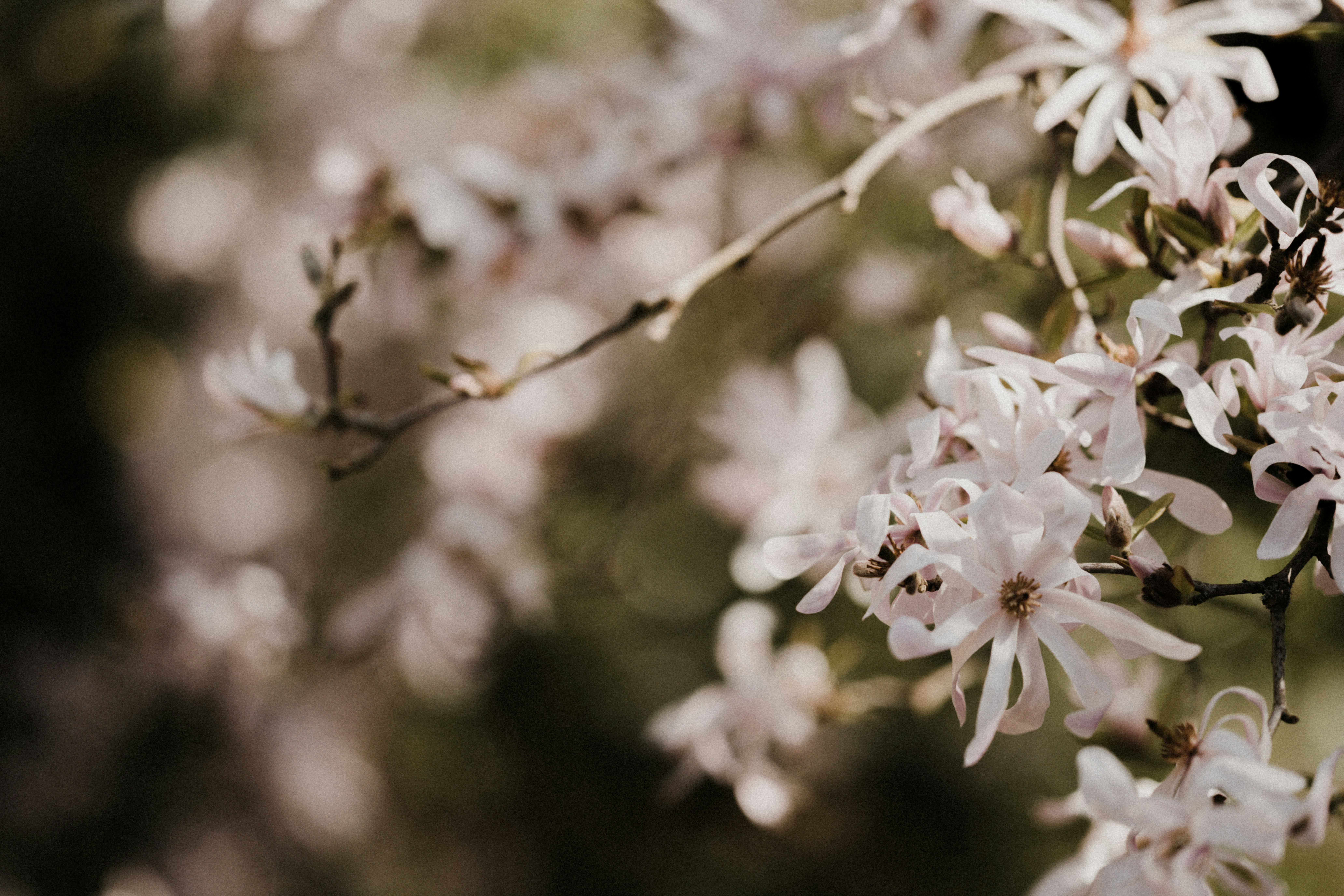 Photo by anniespratt