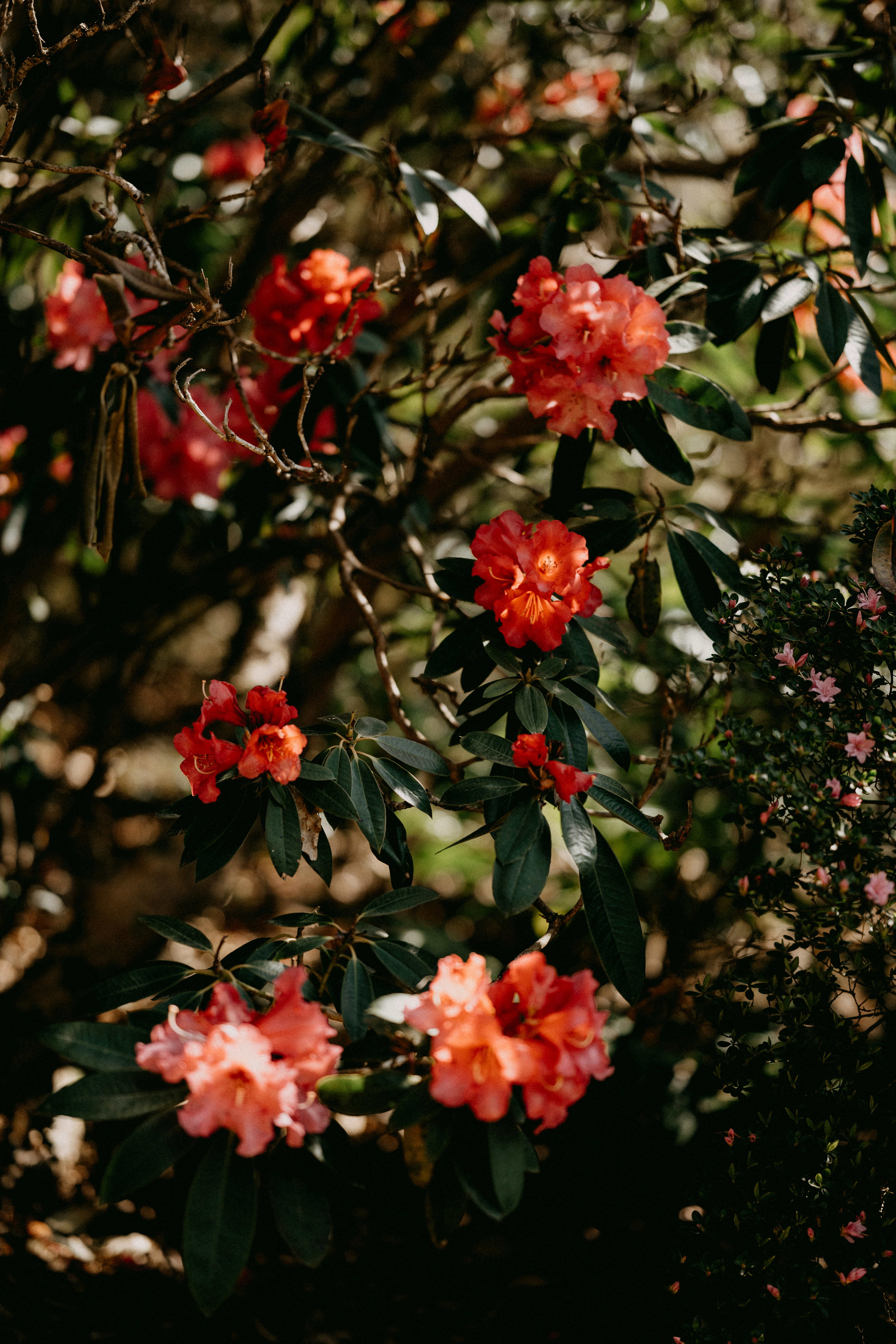 Photo by anniespratt