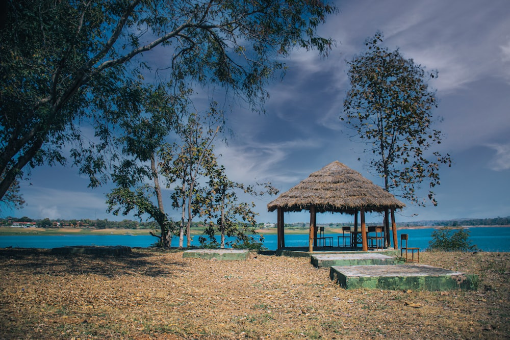 brown wooden beach house near body of water during daytime