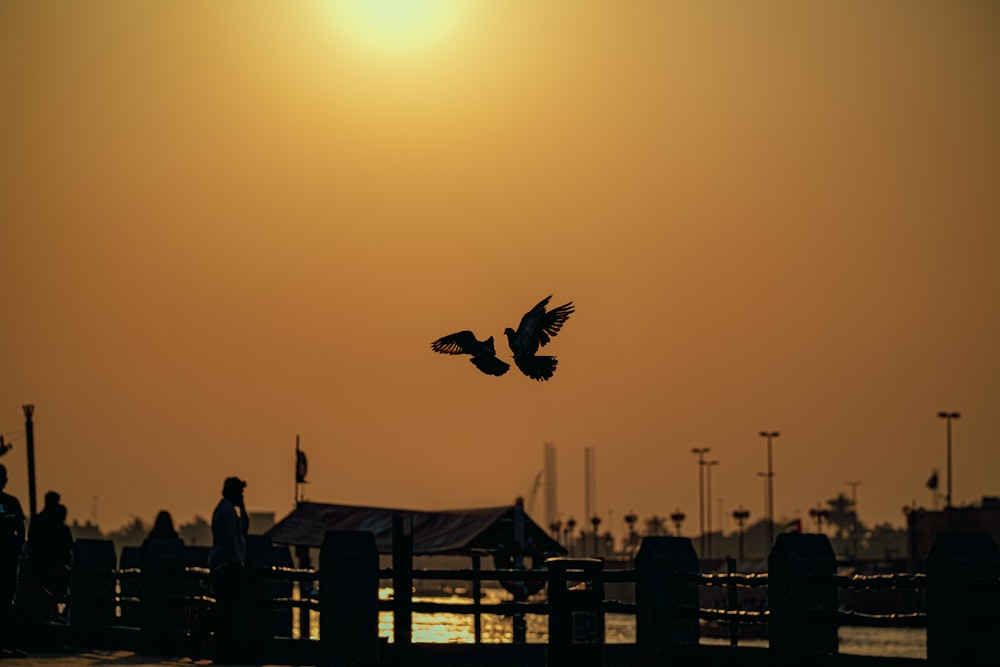 silhouette of birds flying over people walking on sidewalk during sunset