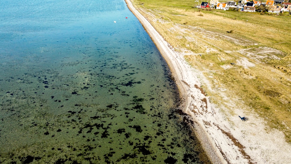 people walking on beach shore during daytime