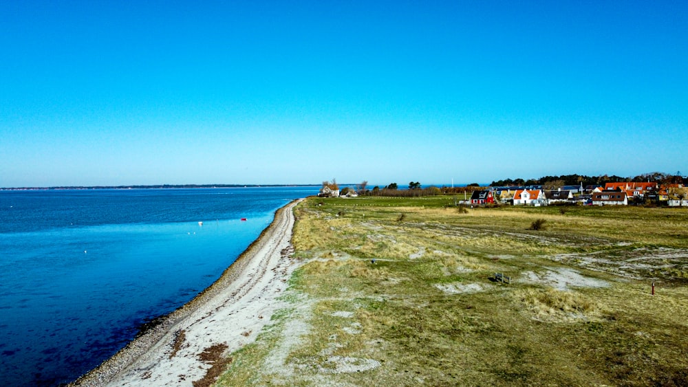 people walking on beach shore during daytime