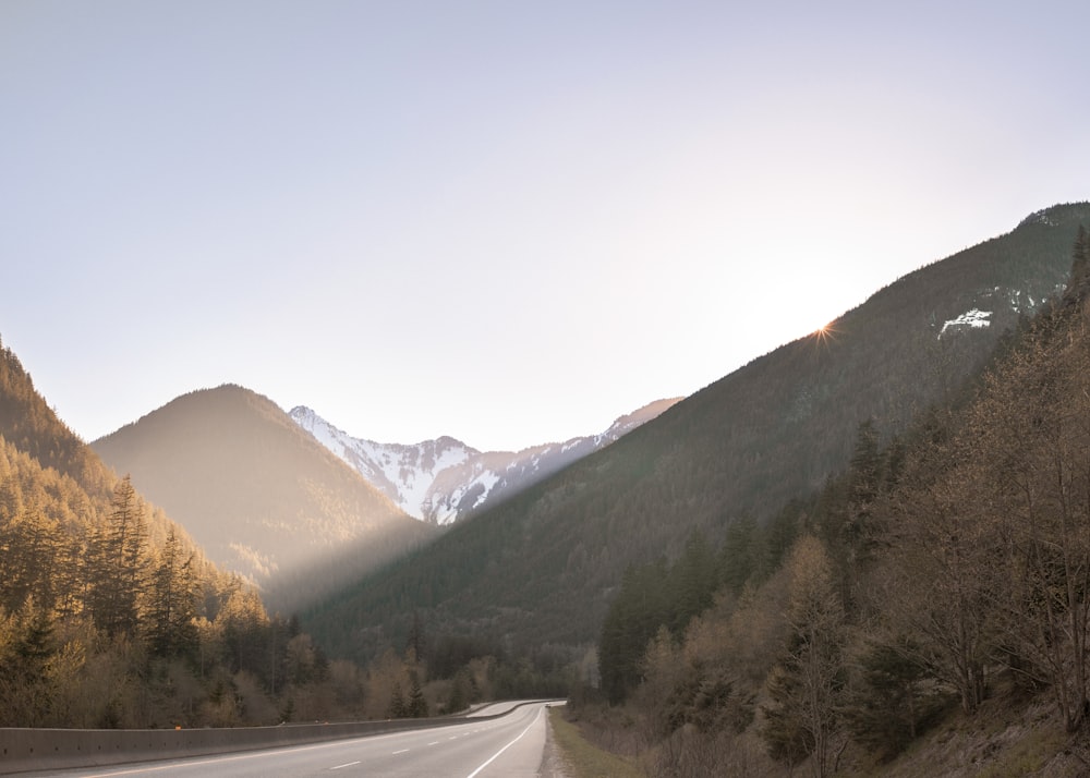 green trees near mountain during daytime