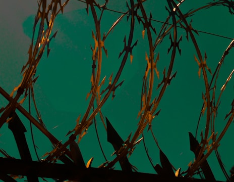 Razor wire spirals create an intense pattern against a greenish-blue backdrop. The metallic spikes are emphasized by the way light glints off them, giving a sharp and menacing appearance.