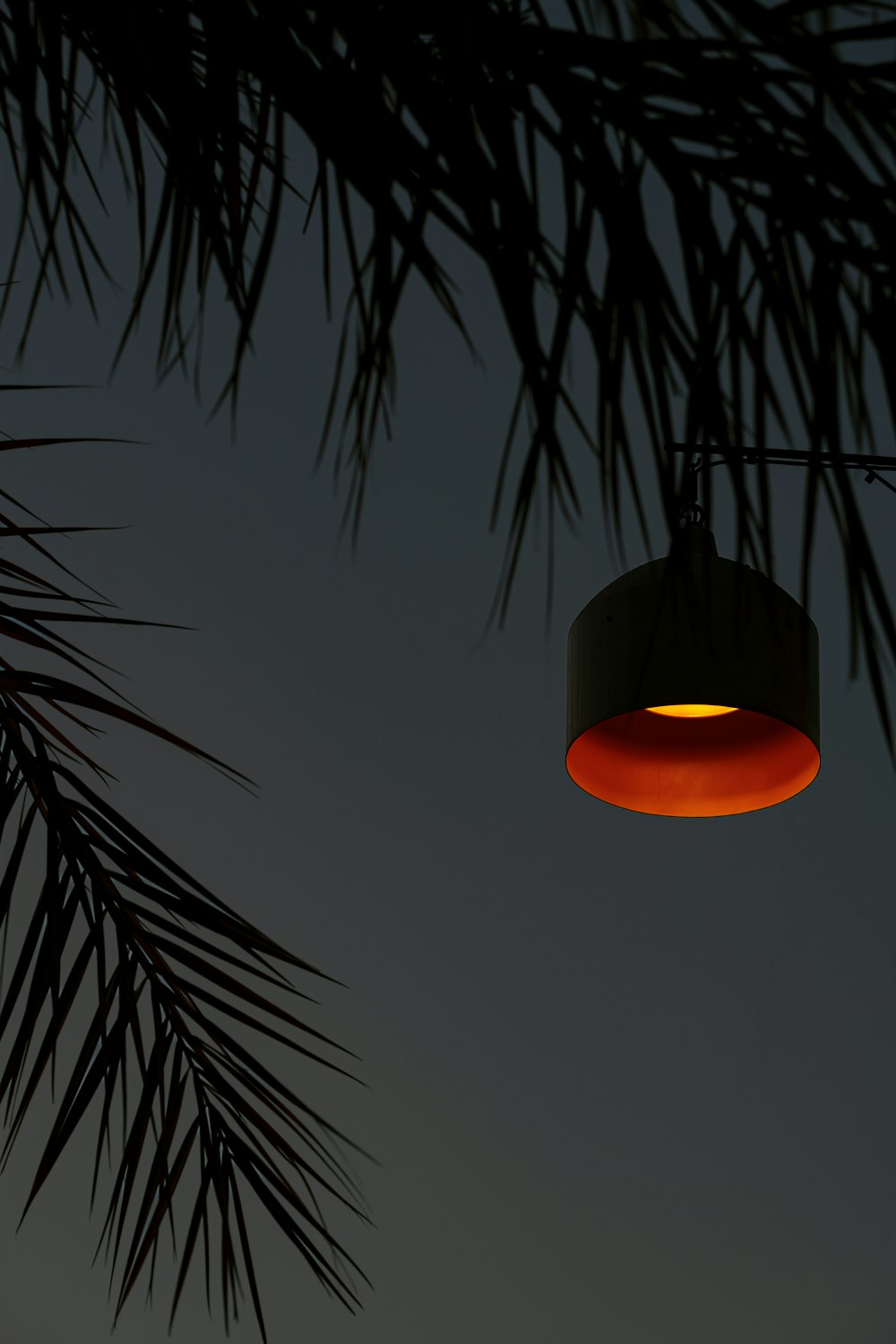 orange pendant lamp near green palm tree during daytime