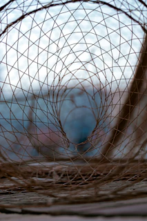 spider web on brown wooden stick