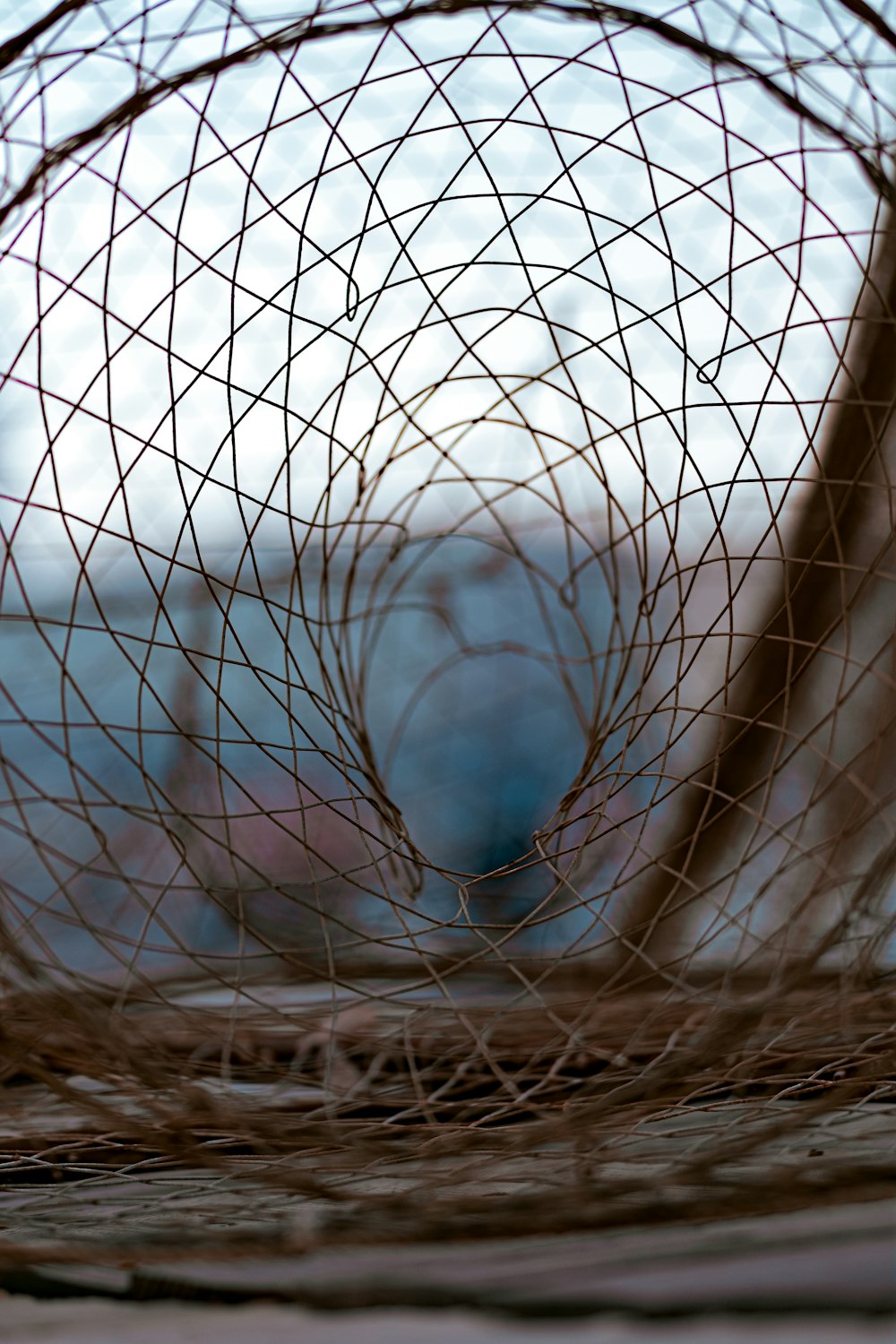 spider web on brown wooden stick