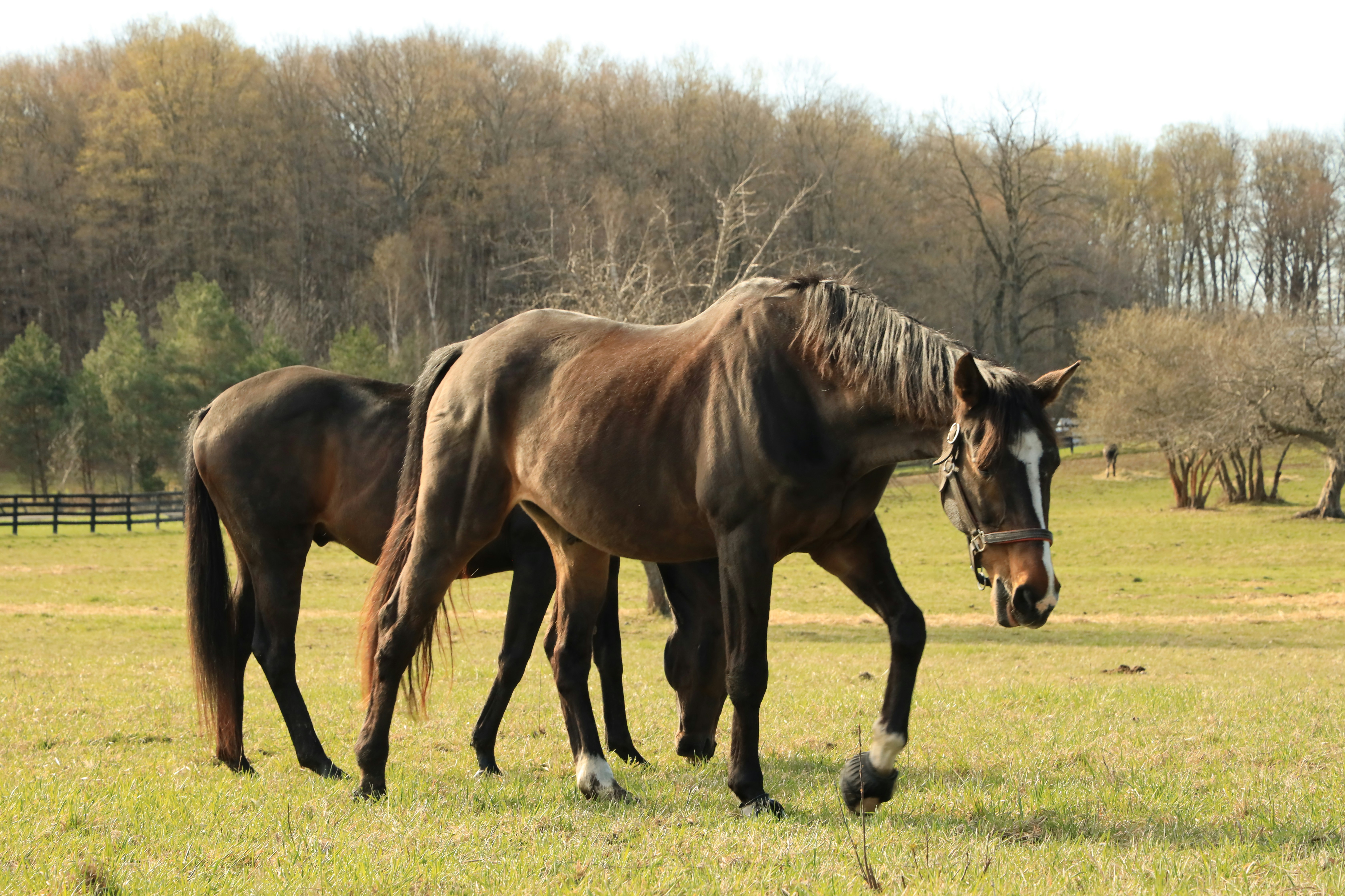 Photo by richardworks