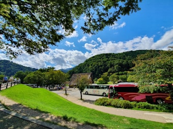 A scenic view featuring lush greenery, a vibrant grassy area, and tall trees with a clear blue sky and scattered clouds. In the background, there are wooded hills. Several buses are parked along a road, and people are walking on a pathway beside the grass. The area appears to be a tourist spot or park.