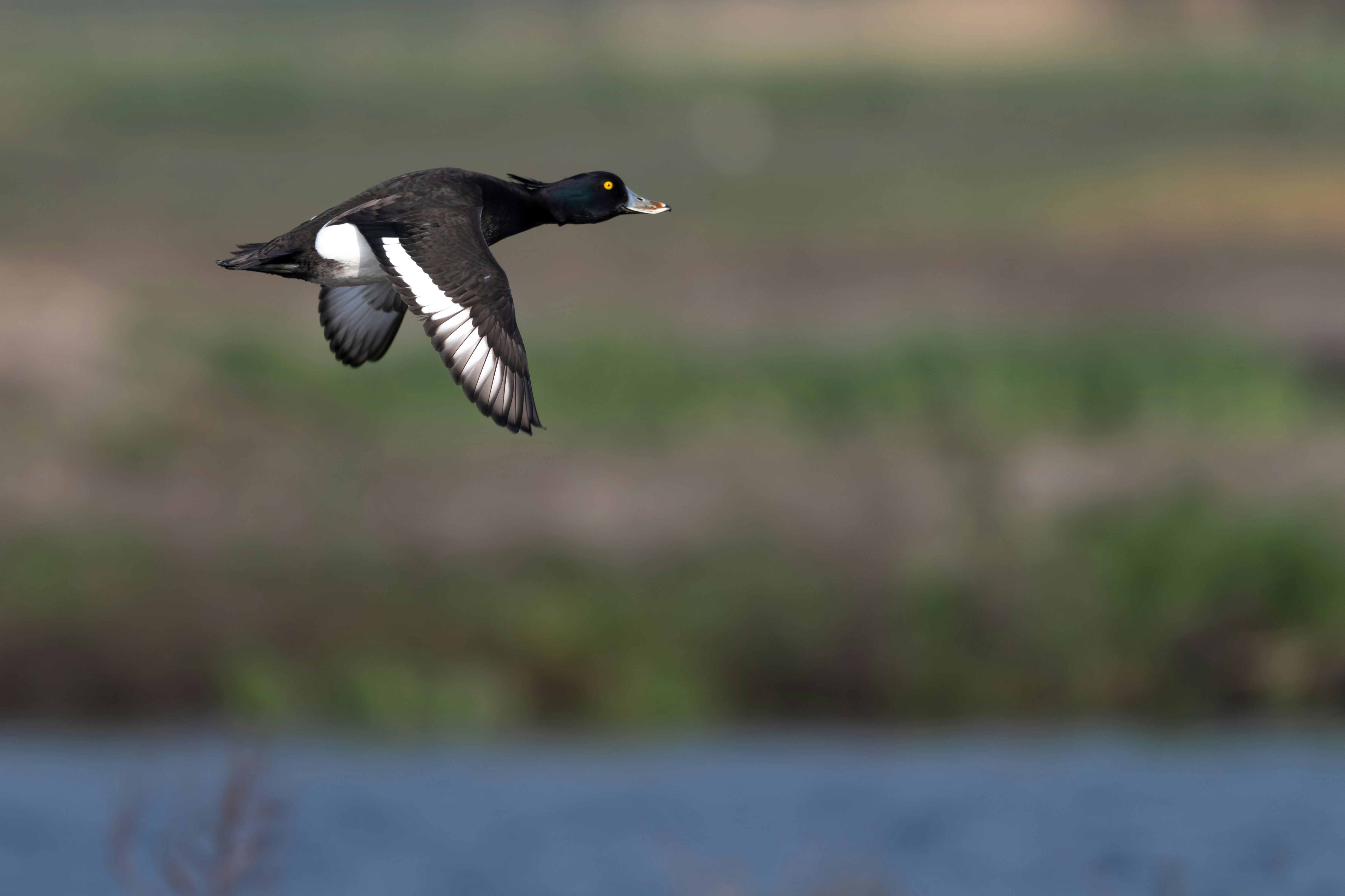 Photo by vincentvanzalinge