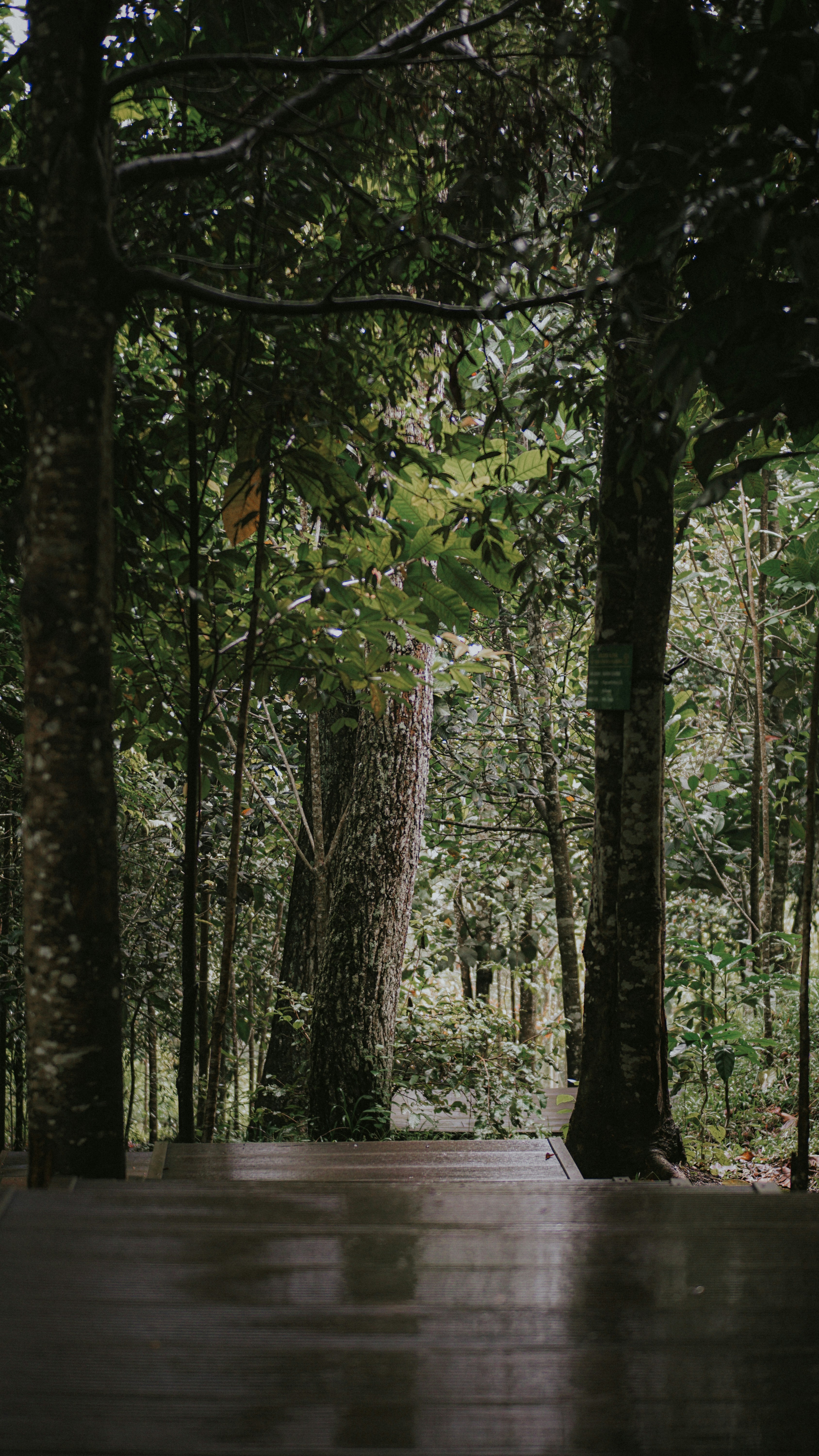 Photo by gemasaputera