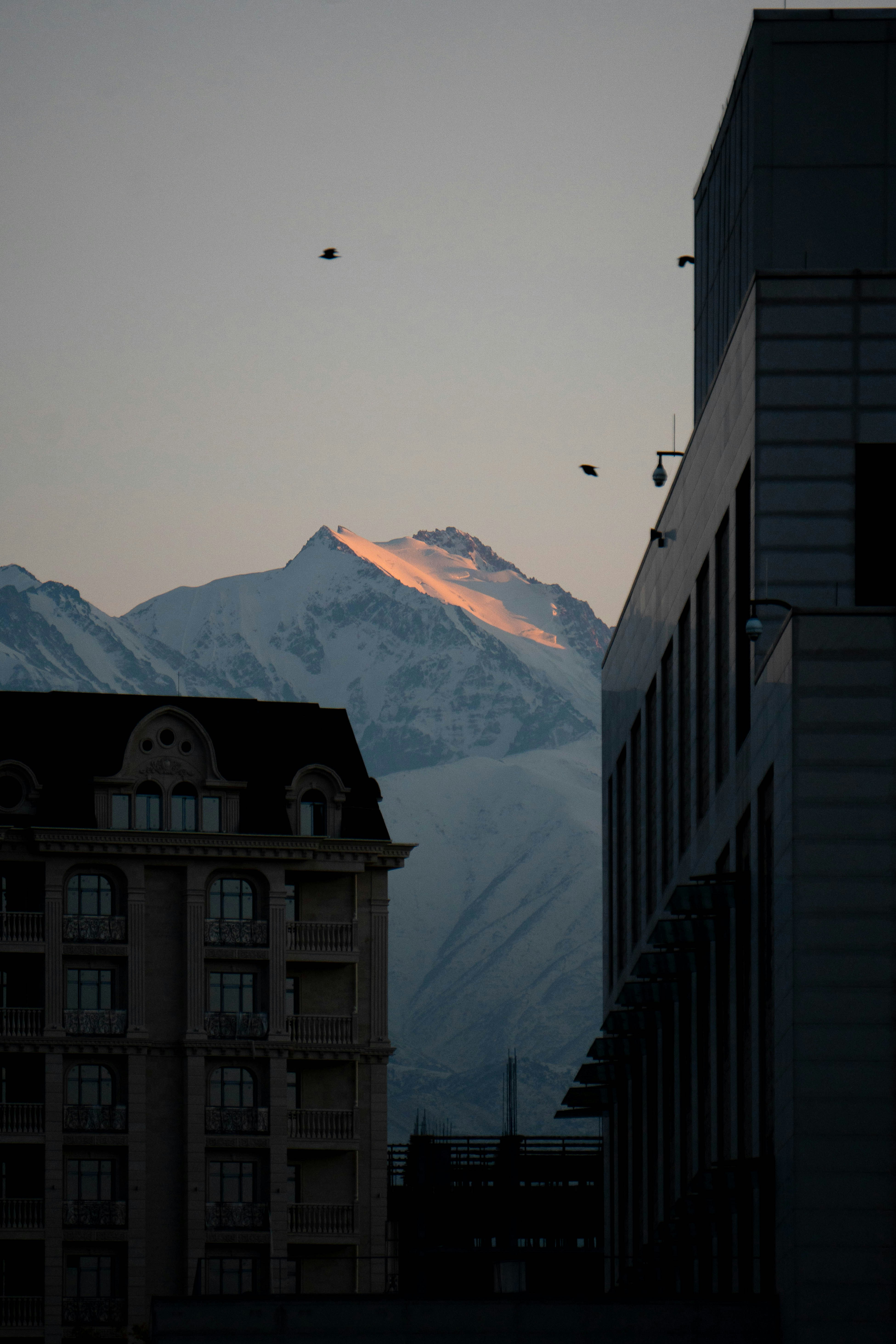 Bâtiment en béton blanc et noir près d’une montagne enneigée pendant la journée
