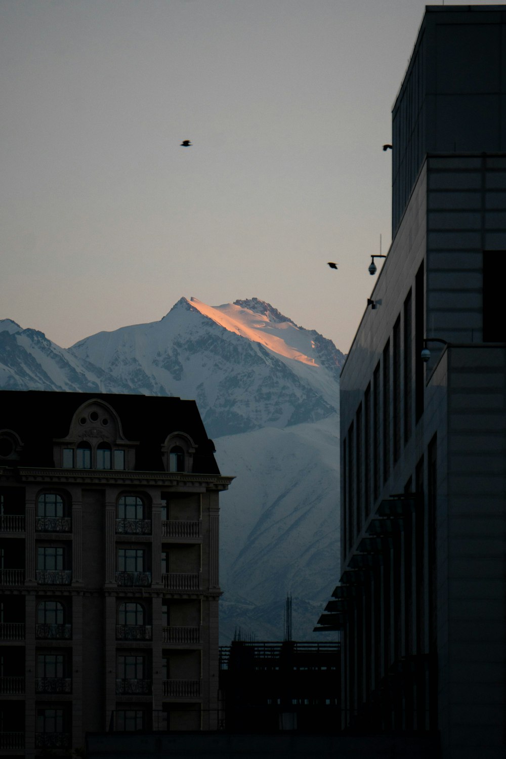 white and black concrete building near snow covered mountain during daytime