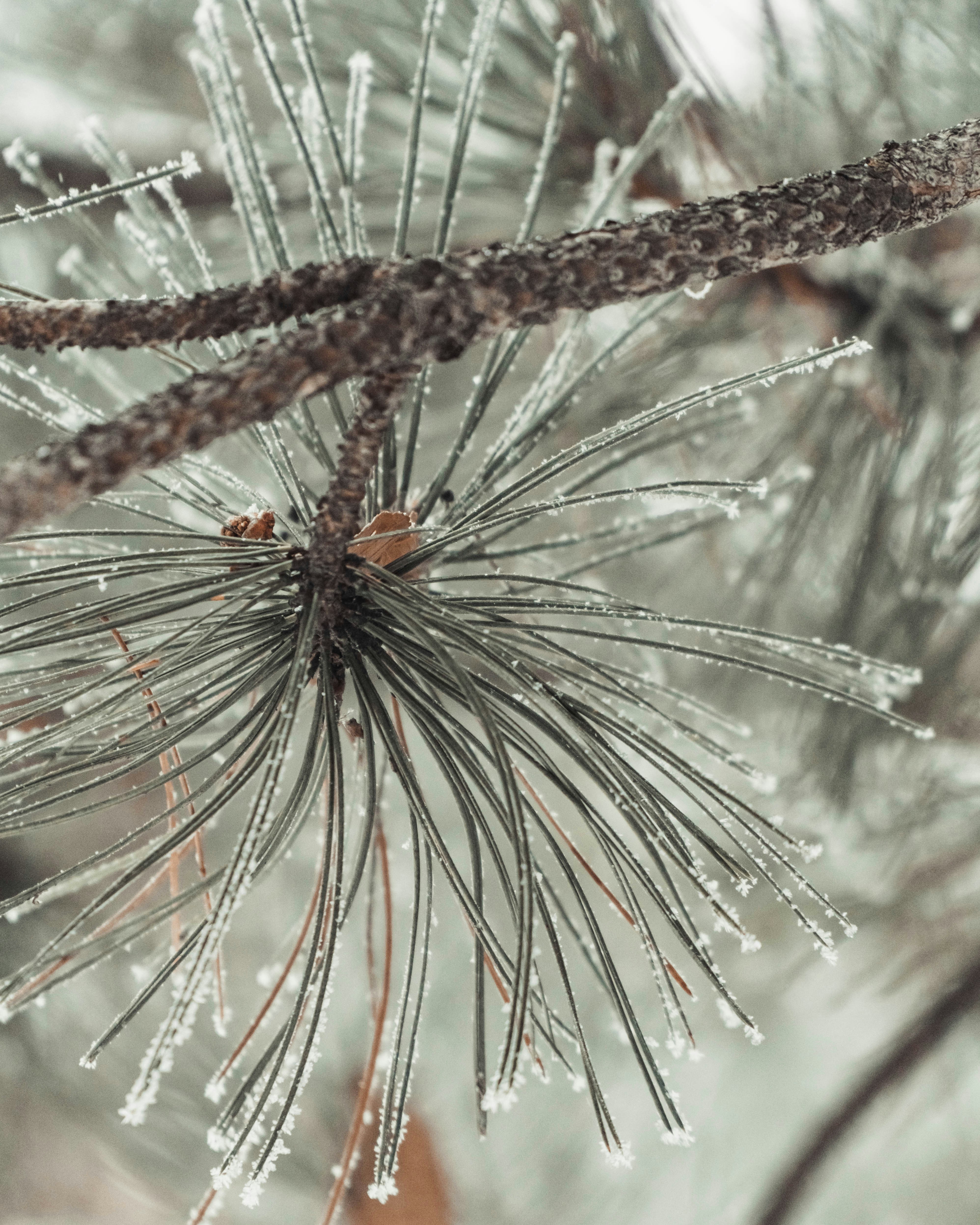 Photo by asilbekovadilet