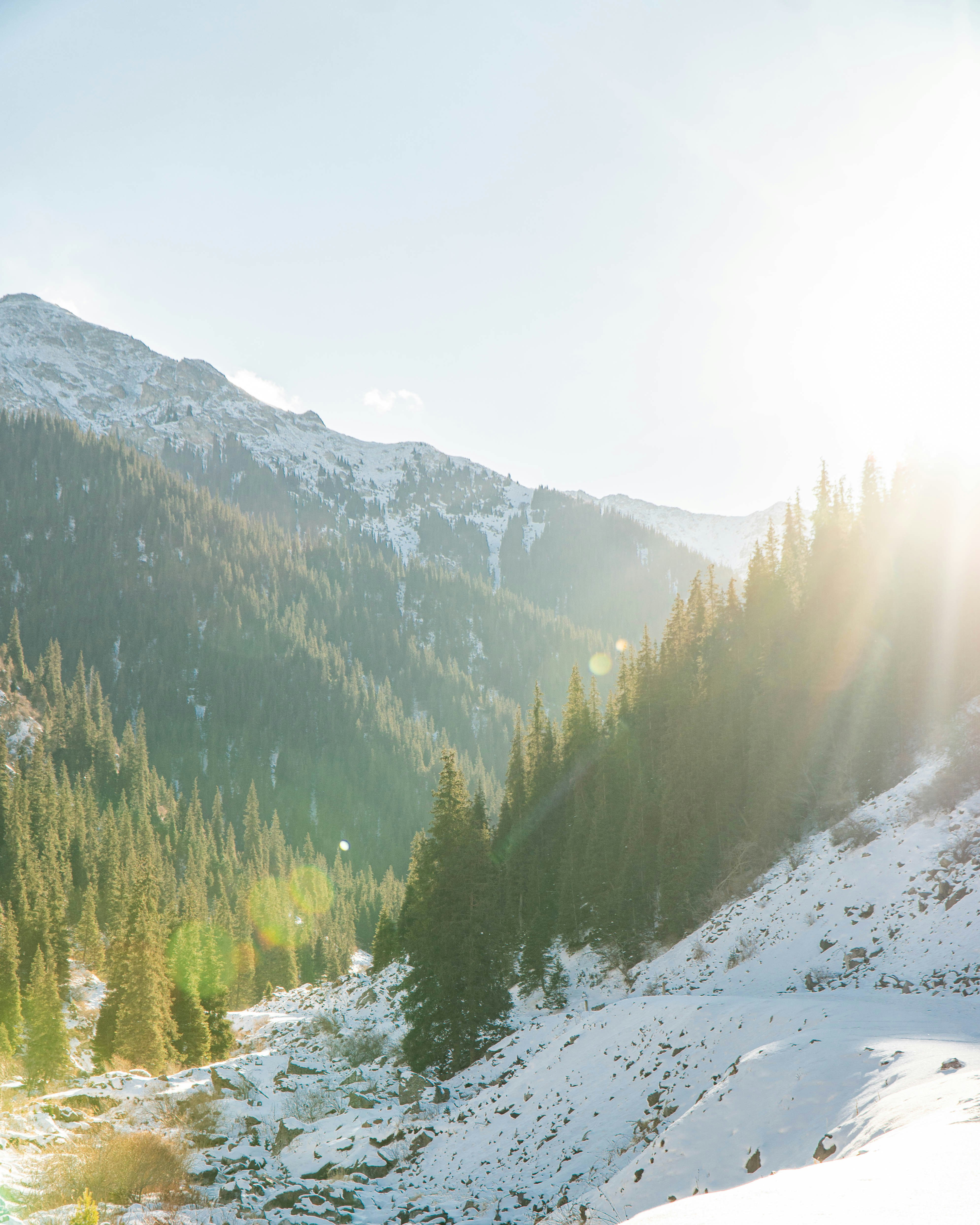 Photo by asilbekovadilet