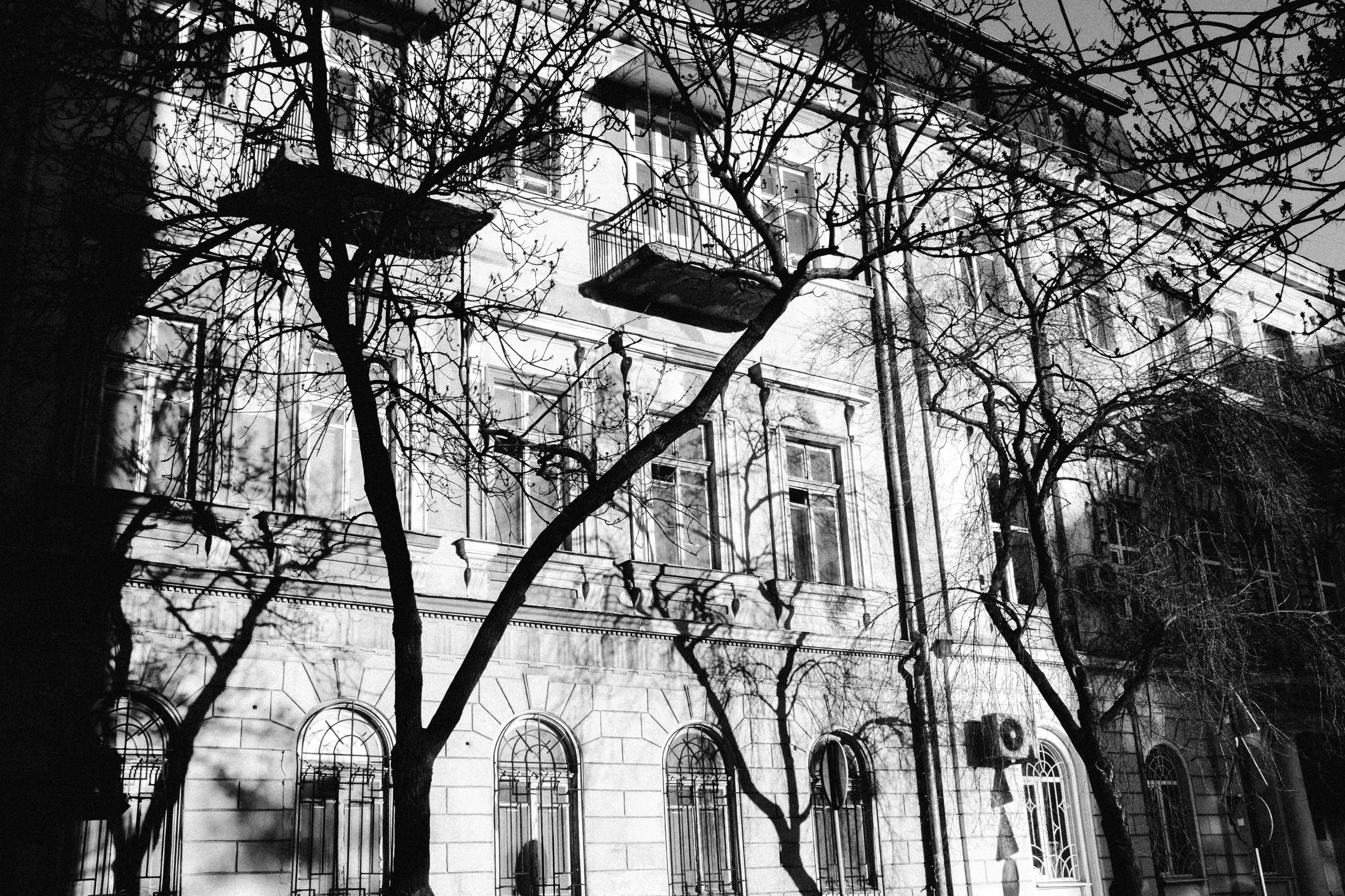 Photo by filipp_roman_photography