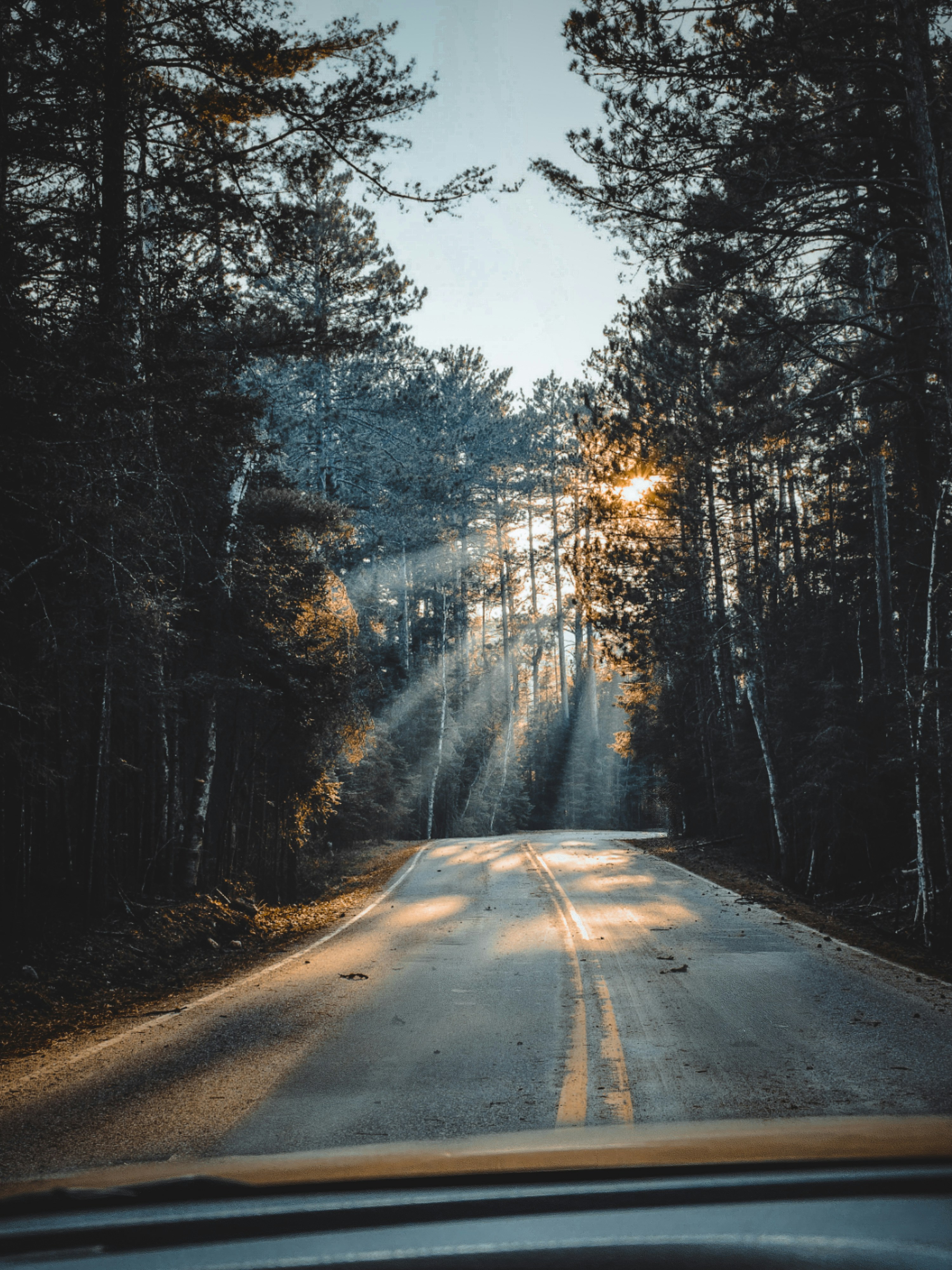 Photo by focal_amclicks