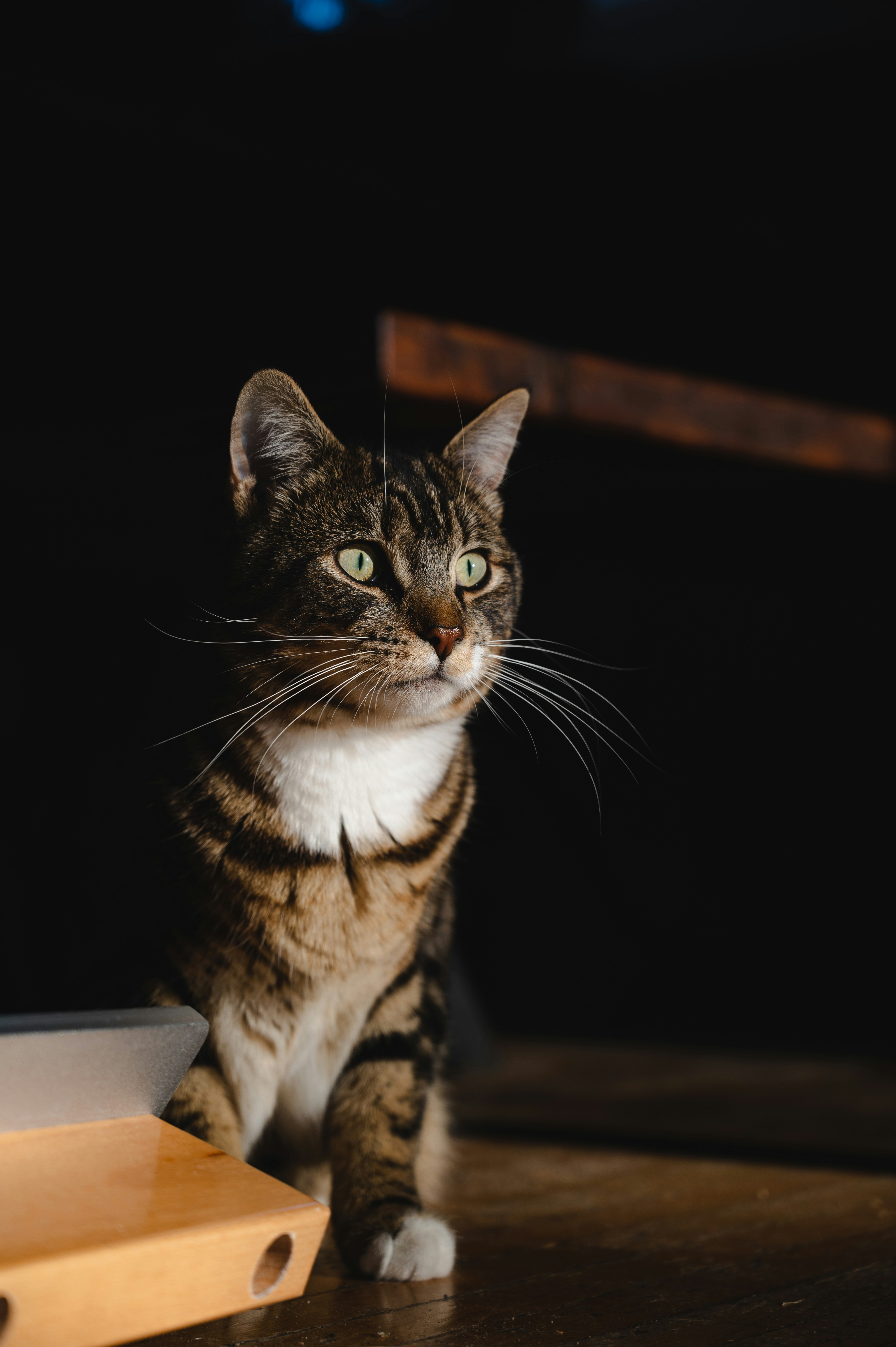 Photo by ryunosuke_kikuno