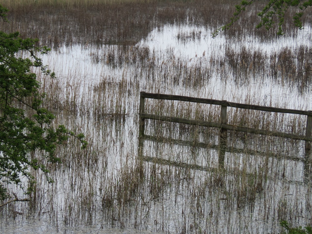 brown wooden fence near green grass