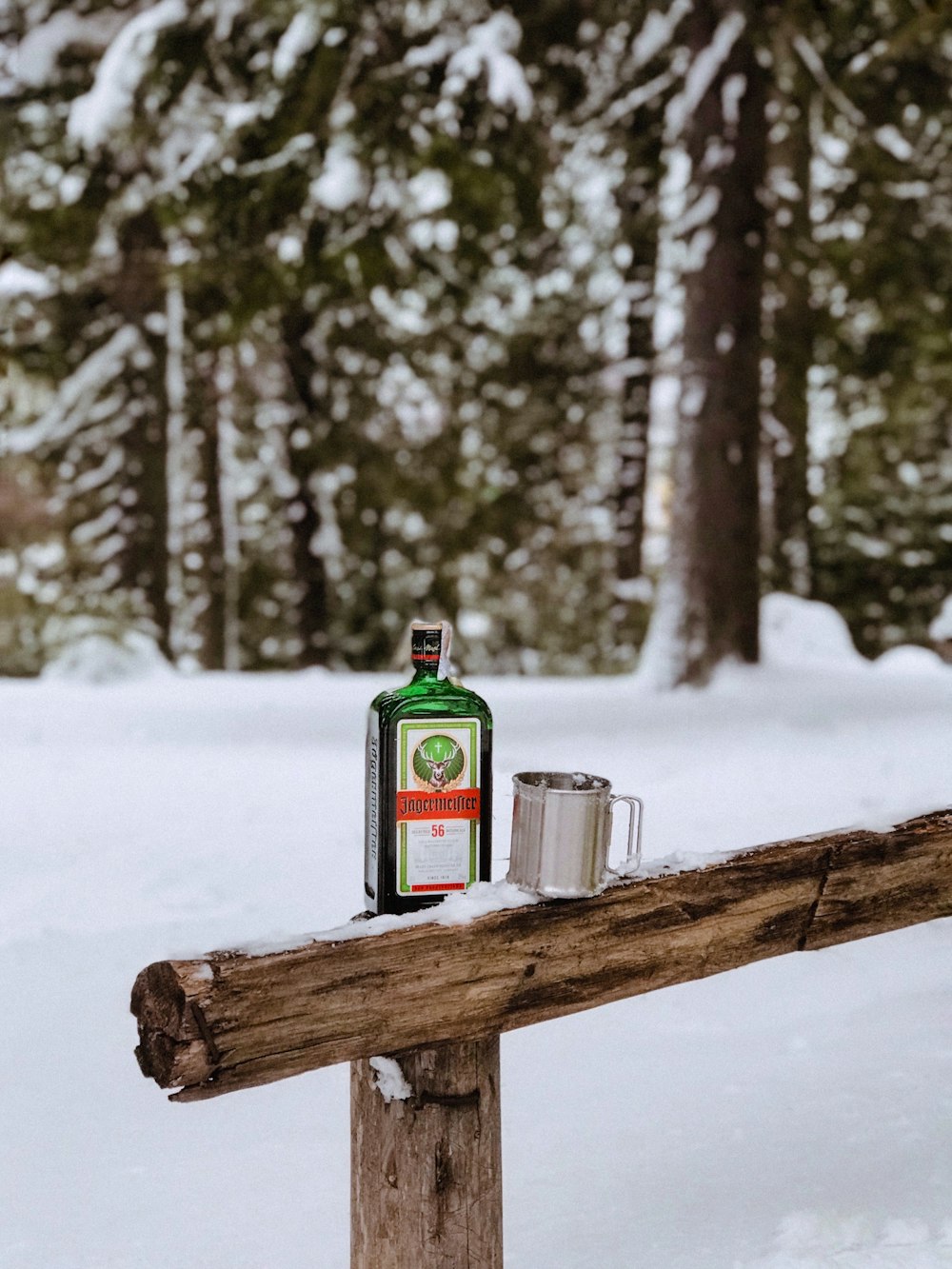 green and white can on brown wooden fence on snow covered ground during daytime