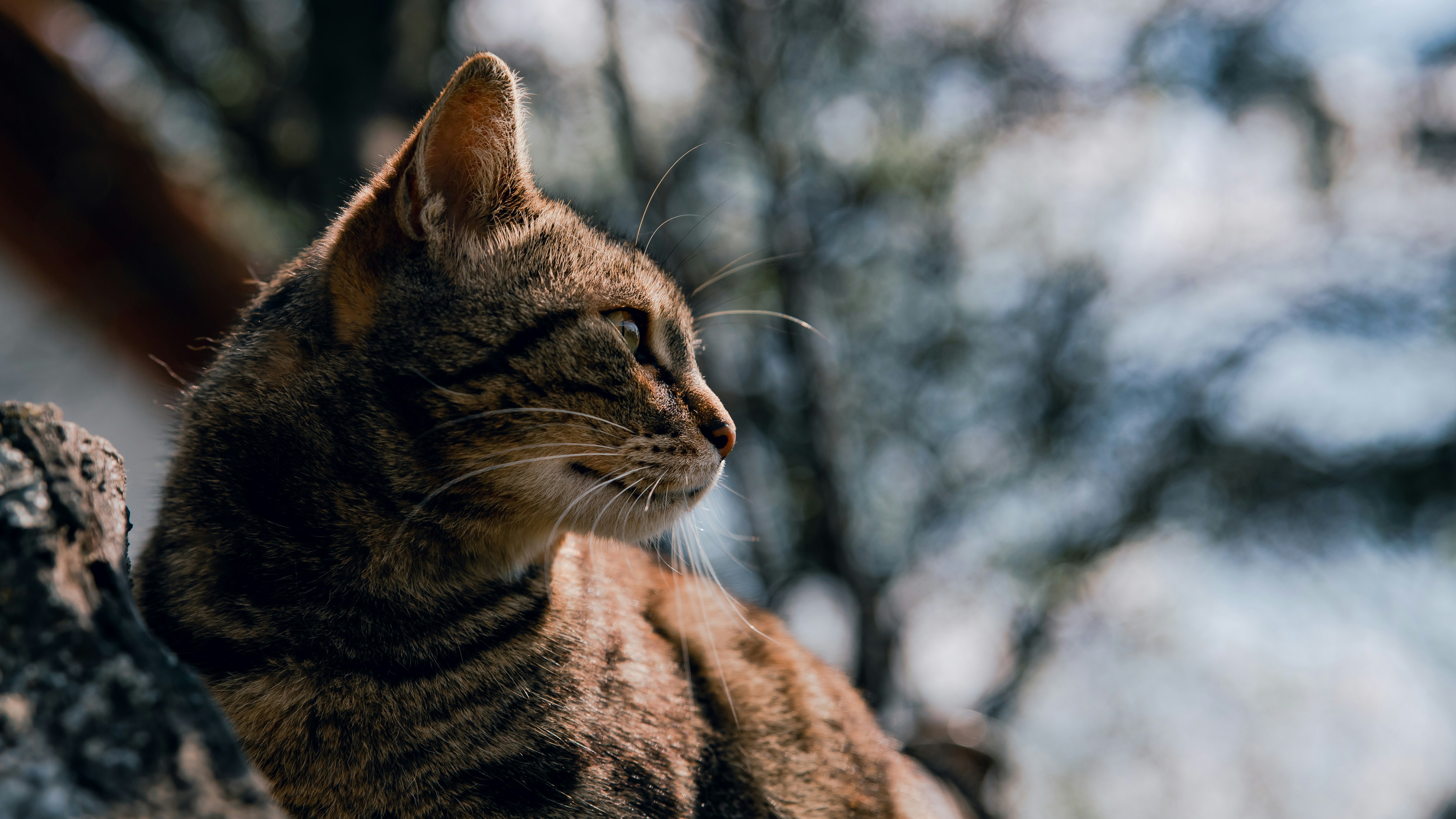 Photo by sylvester_s