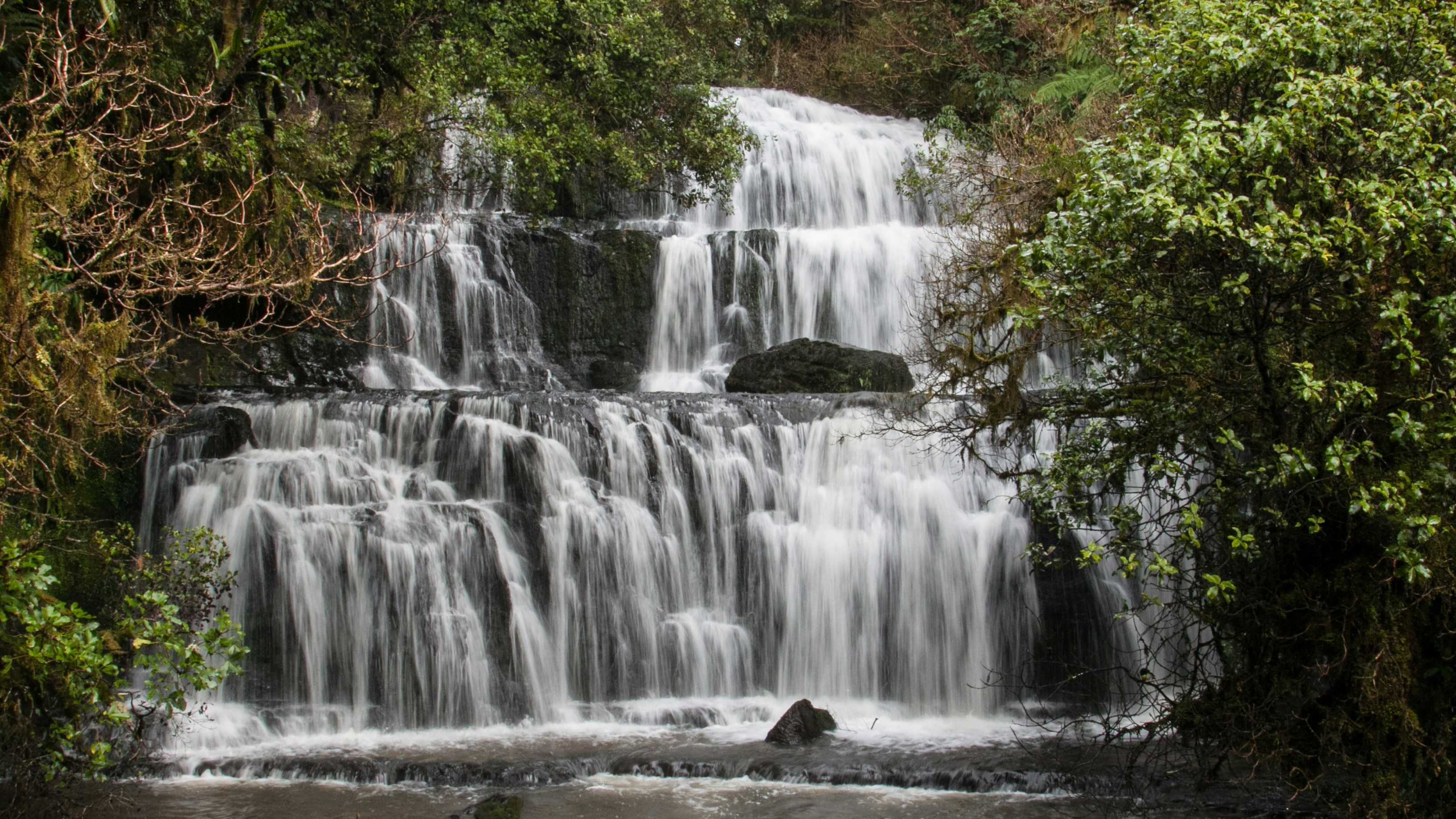 Wasserfälle im Wald tagsüber